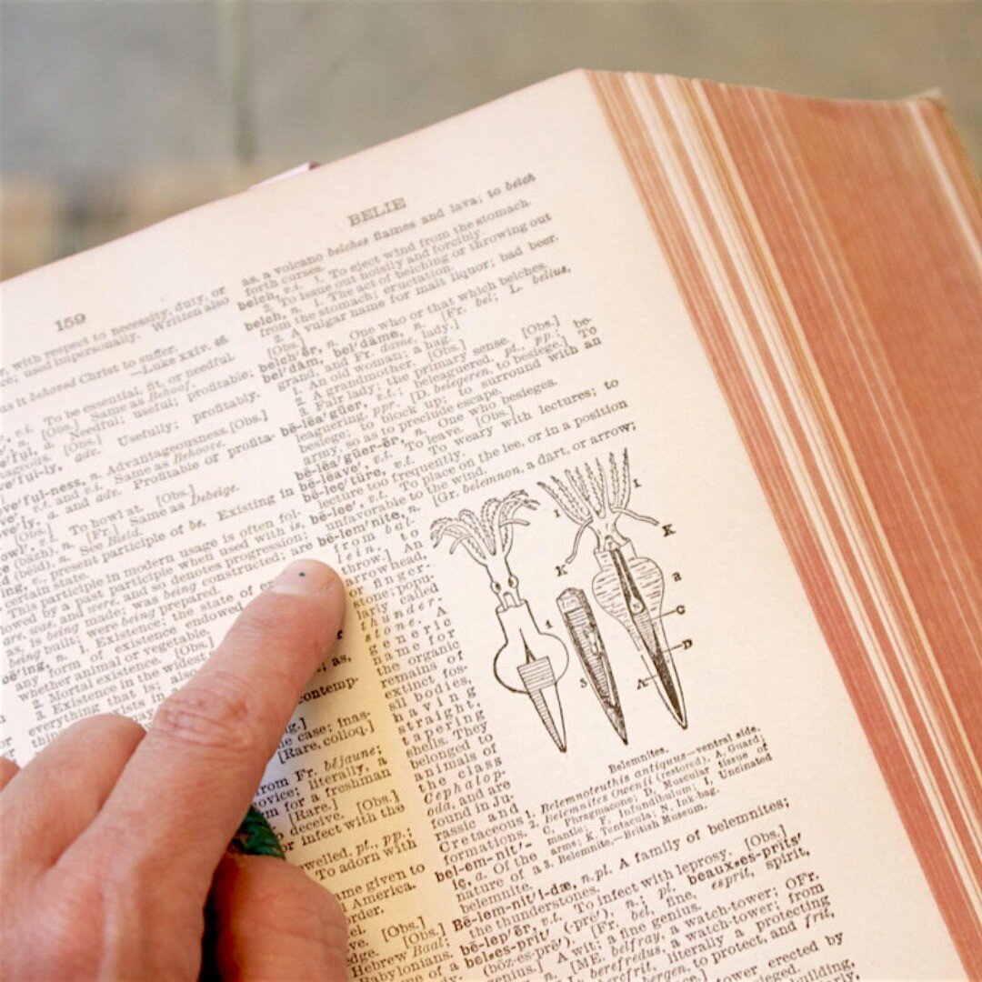 We hope you&rsquo;ll stop by a new addition we&rsquo;ve made to our website, THE OBSCURE VOCABULARY!! We took notes from some of our most obsolete language guides and dictionaries, to offer you the proper obscurities for your brain to nibble on. Our 