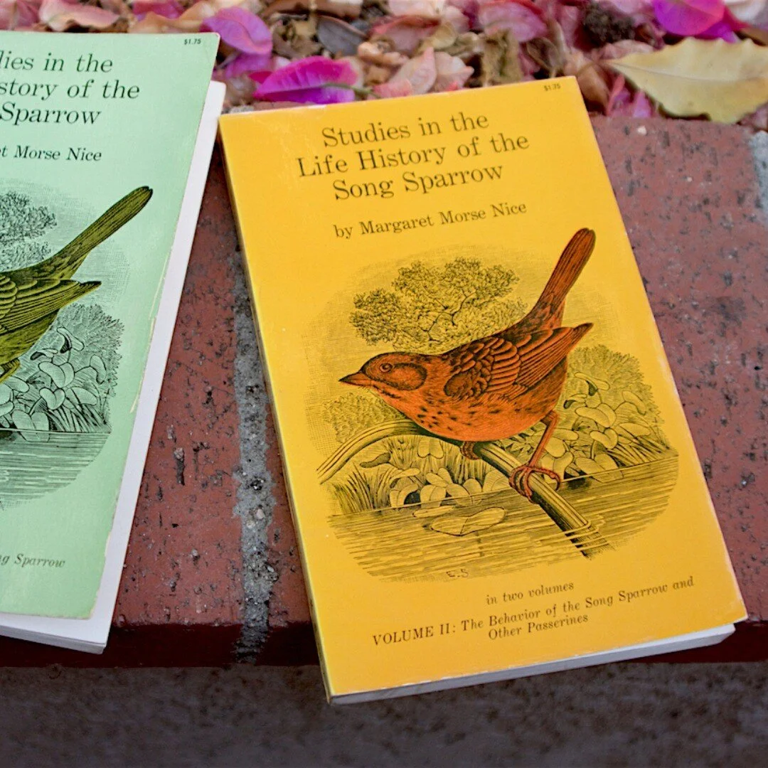 "How are we to look upon birds? Are they reflex machines, or human beings in miniature? Or do they fall somewhere between these extremes? How do birds communicate with each other since they lack articulate speech? The Melospiza melodia is a bird