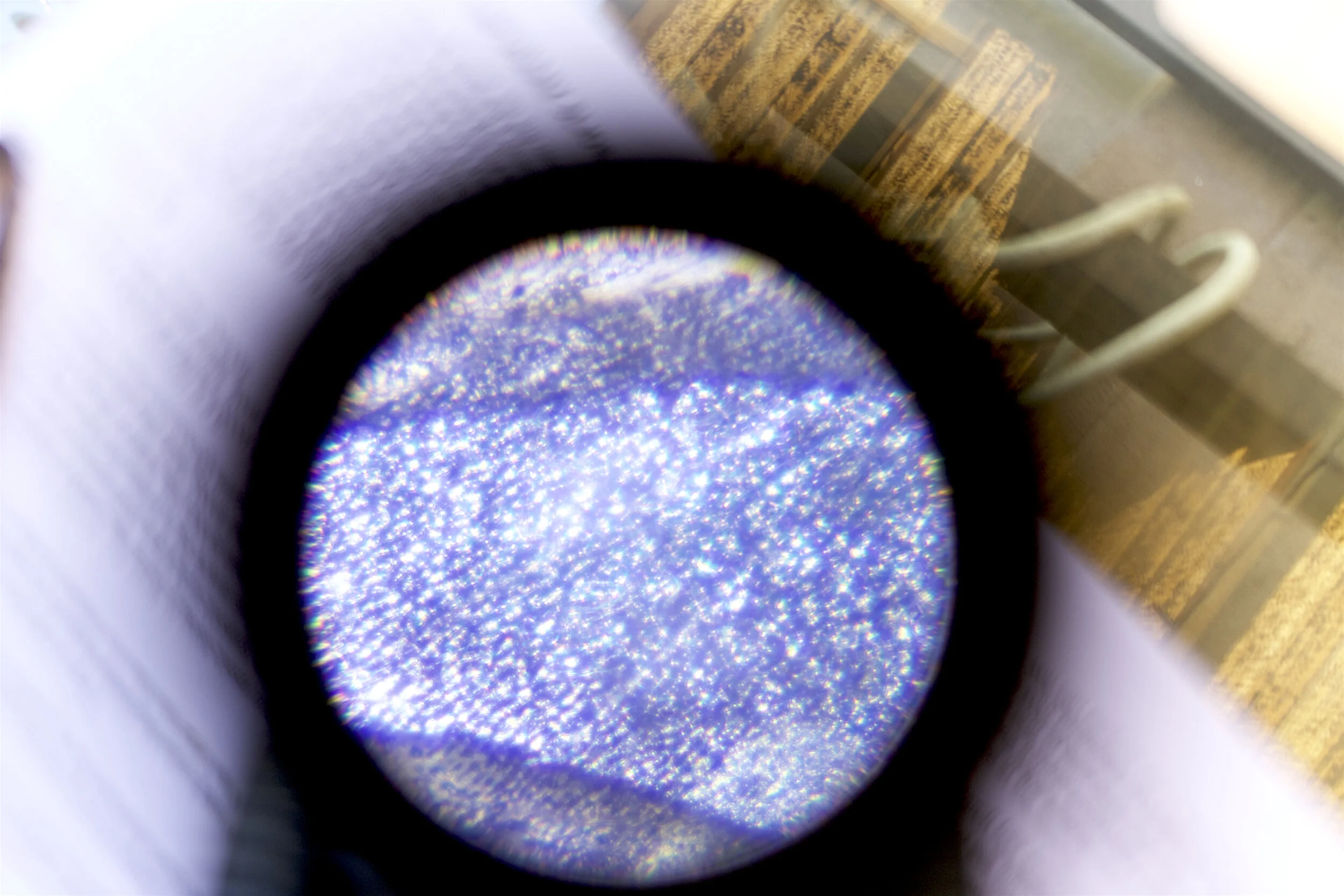 plectranthus n. microscope.IMG_3643 copy.jpg