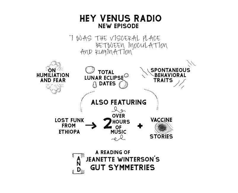 #21 Flyer venus copy.jpeg