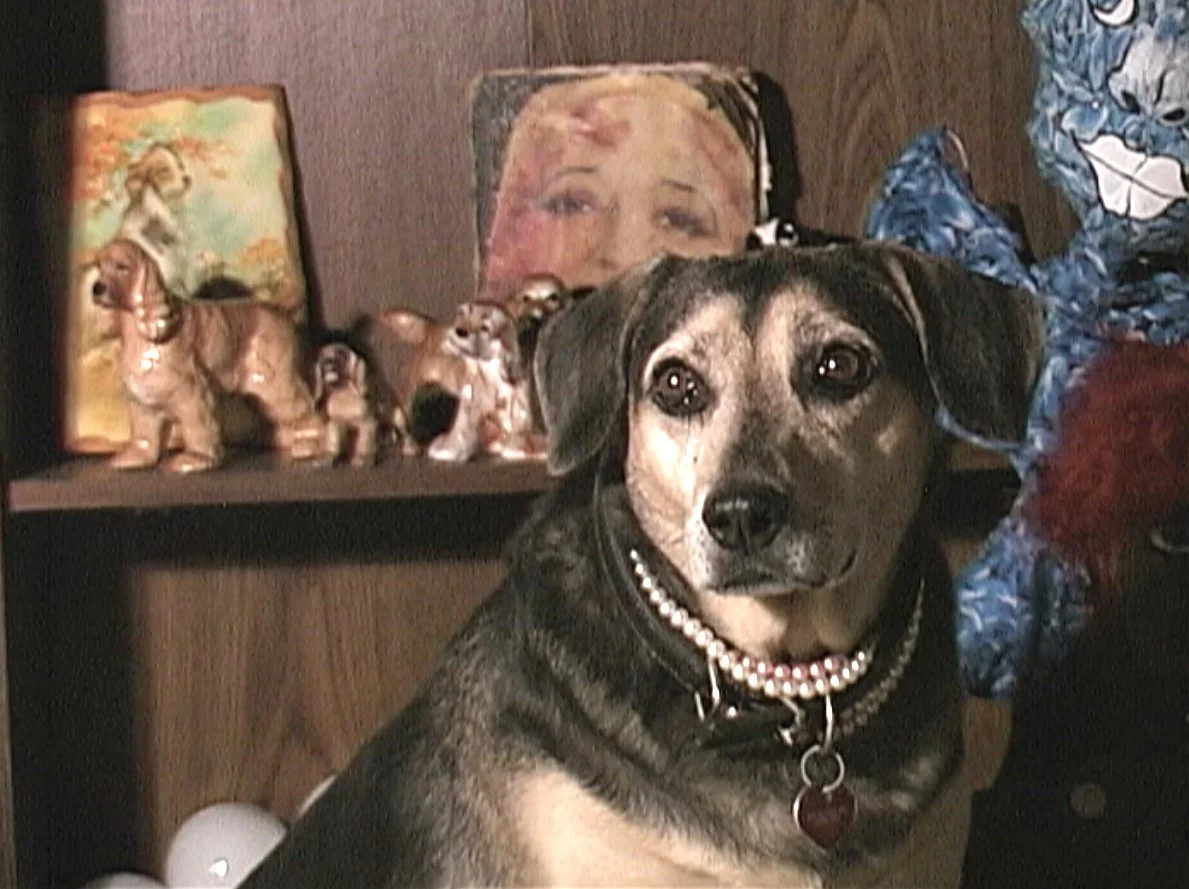 UNA1 video still.jpg