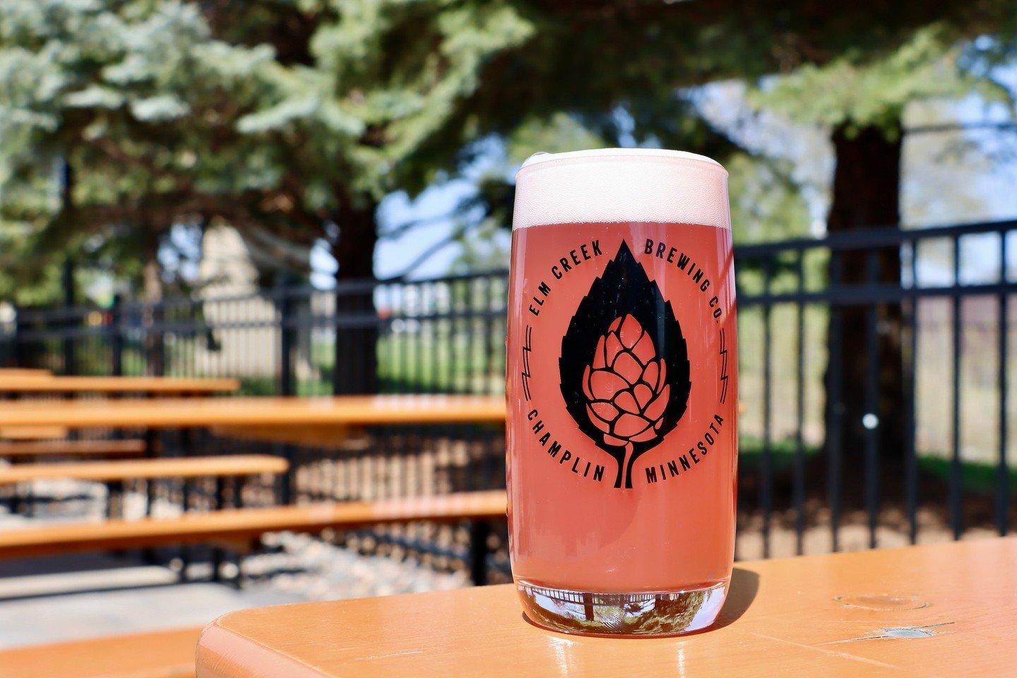 On Wednesday's we wear pink... 😜⁠
⁠
Nothing mean about this one, Captain's Patch Raspberry Lemon Shandy is the perfect crusher if you're looking for a cold brew bursting with fresh fruit flavor! ⁠
⁠
Find it at the brewery and on tap at some of your 