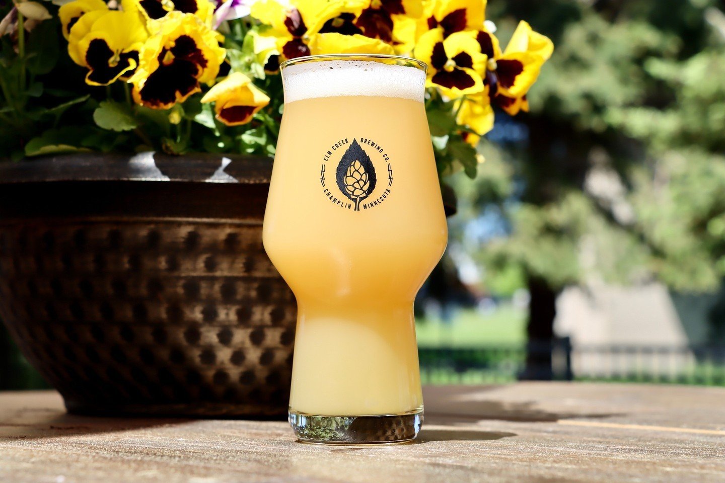 If you haven't noticed, it's for sure Patio Szn ☀️⁠
⁠
We took our house hazy grain bill and the cool folks at Northern Taphouse said- hey, what if we made a non-milkshake fruited hazy? Sounded like a great plan so we teamed up and added Pineapple and