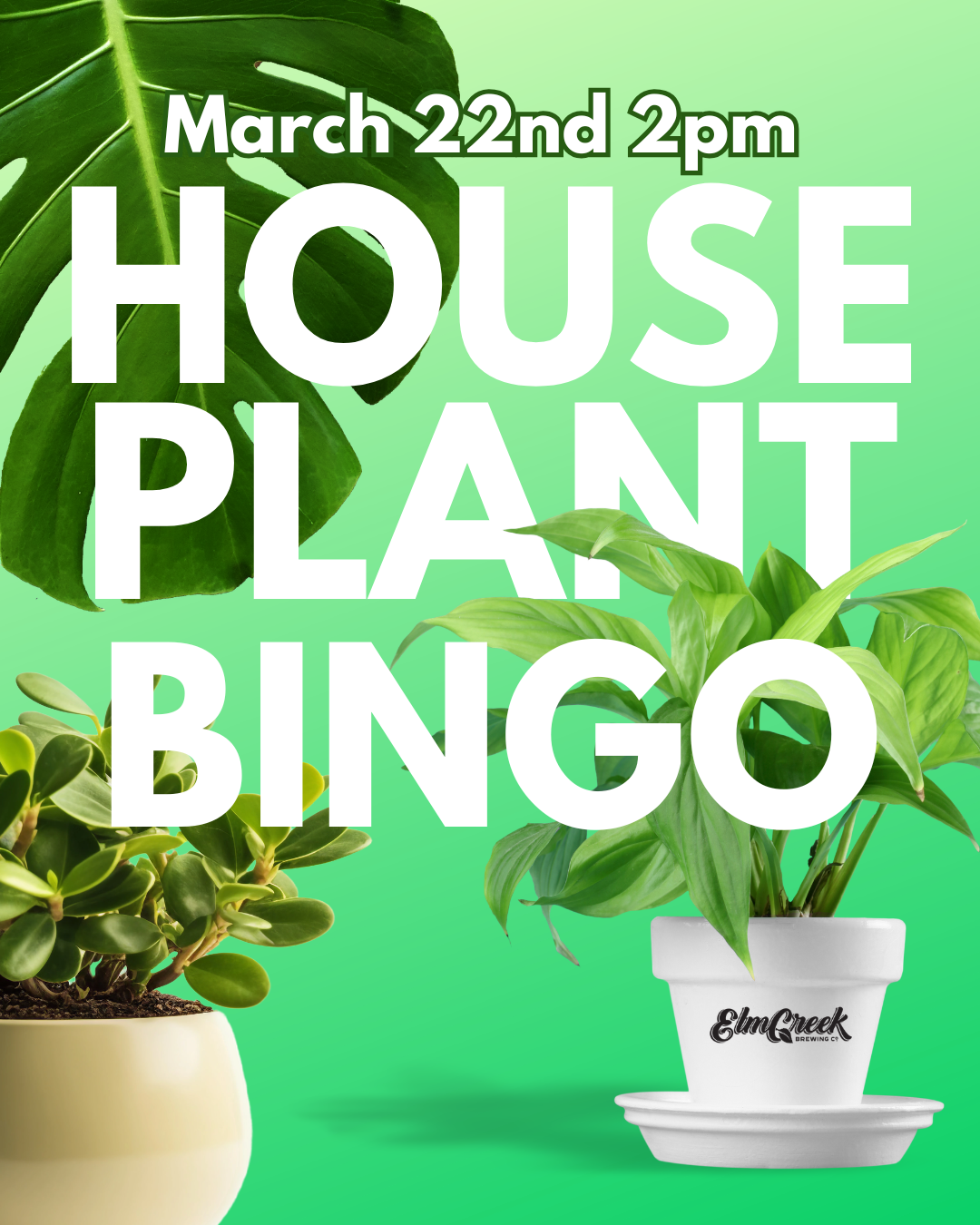 Houseplant BINGO