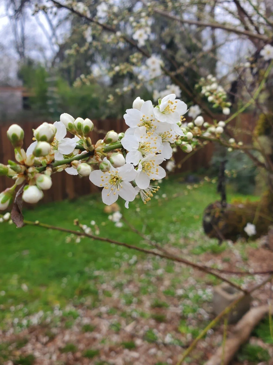 Spring Equinox Class