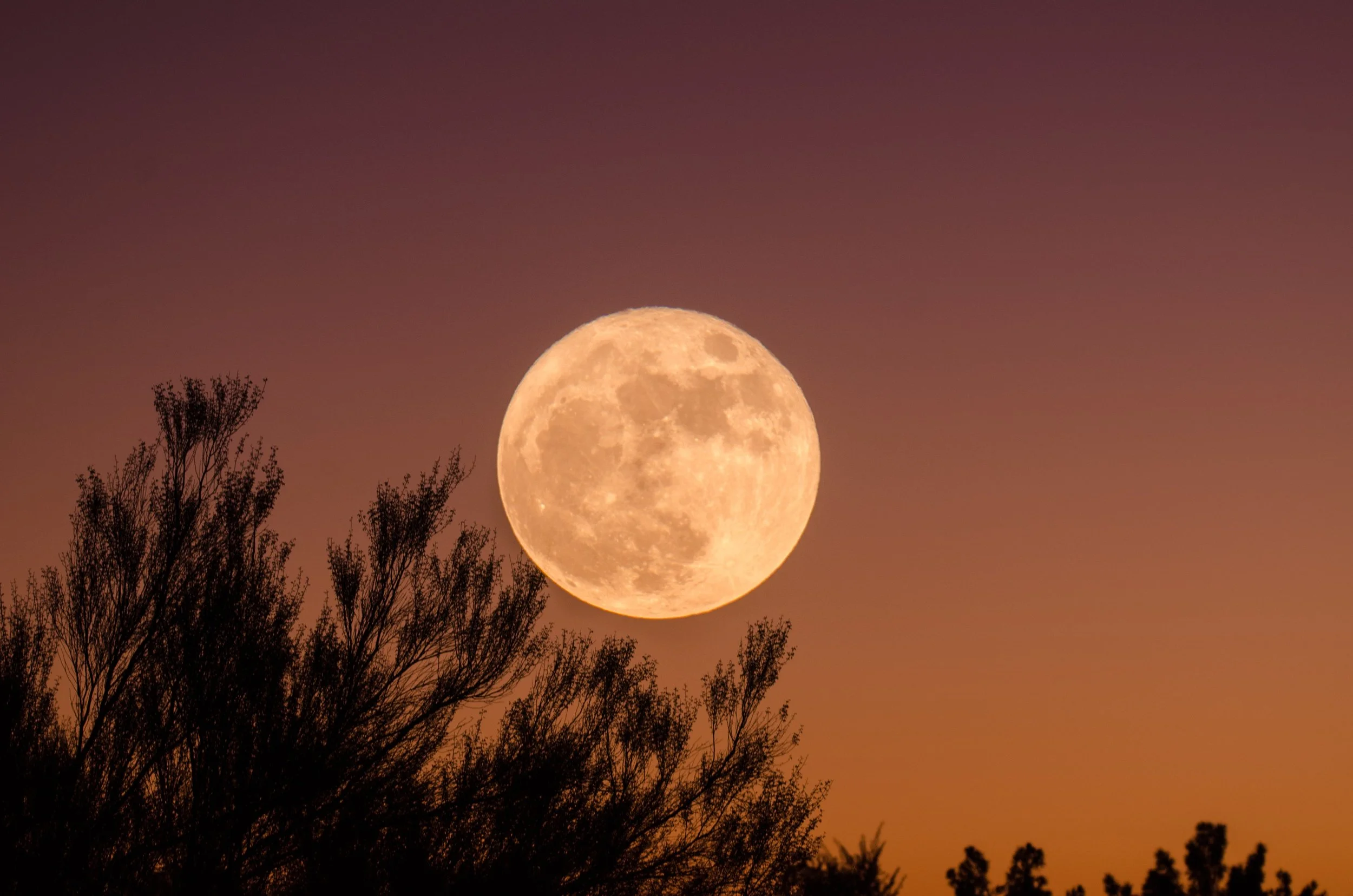 Full Moon Meditation