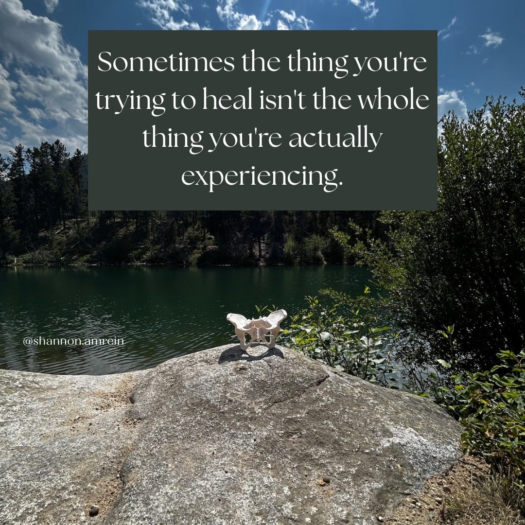This is one of the biggest shifts I&rsquo;ve made in my own understanding of healing.
We can become very good at separating ourselves into pieces.
Body problem. Relationship problem. Sxxlity problem. Nervous system problem. Spiritual problem.
And som