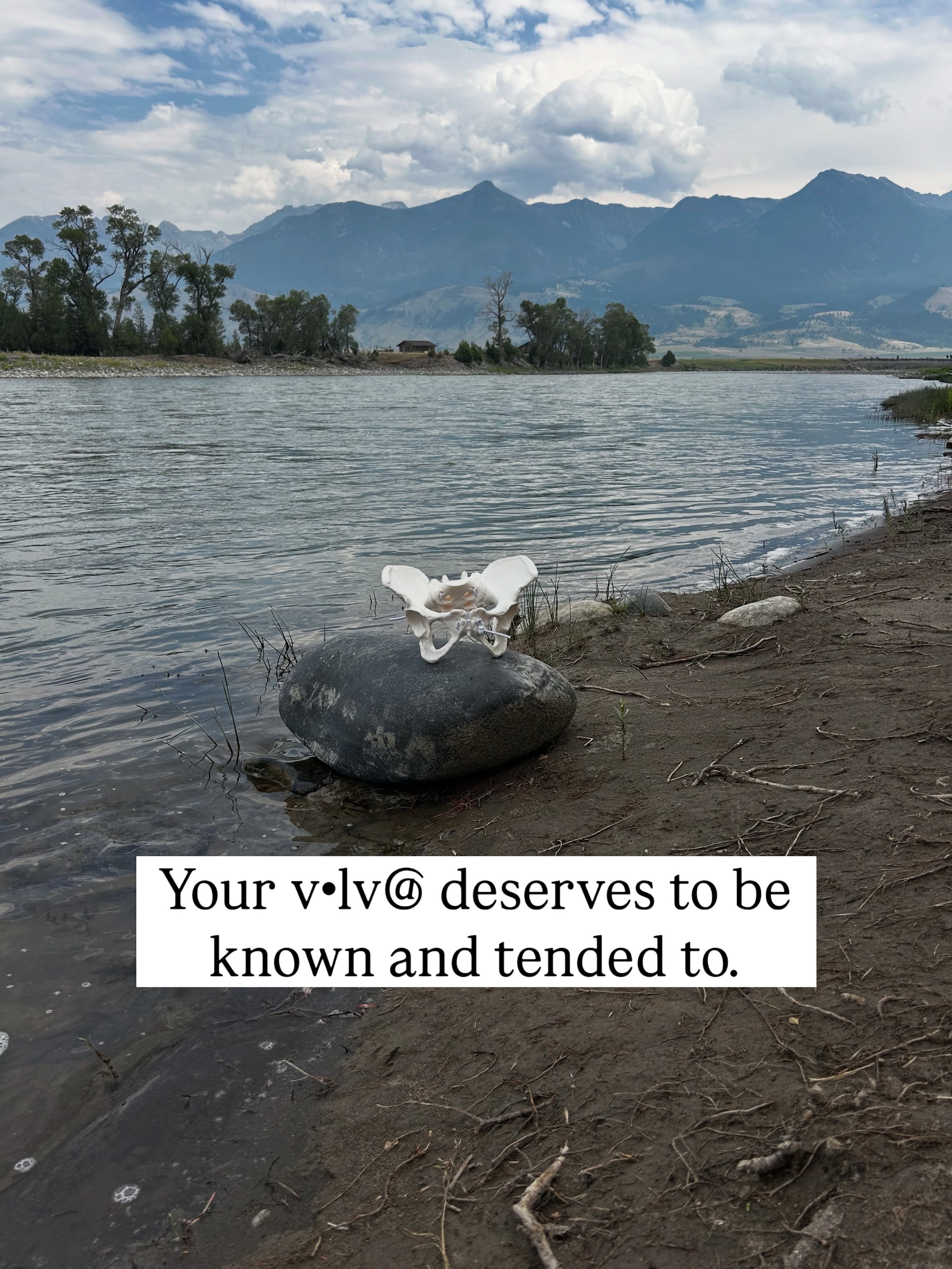 What kind of relationship do you have with your v&bull;lva?

Maybe this isn&rsquo;t something you&rsquo;ve ever really thought about.

Maybe you&rsquo;ve rarely looked at your v-lva. Maybe you don&rsquo;t know much about its anatomy. Maybe your relat