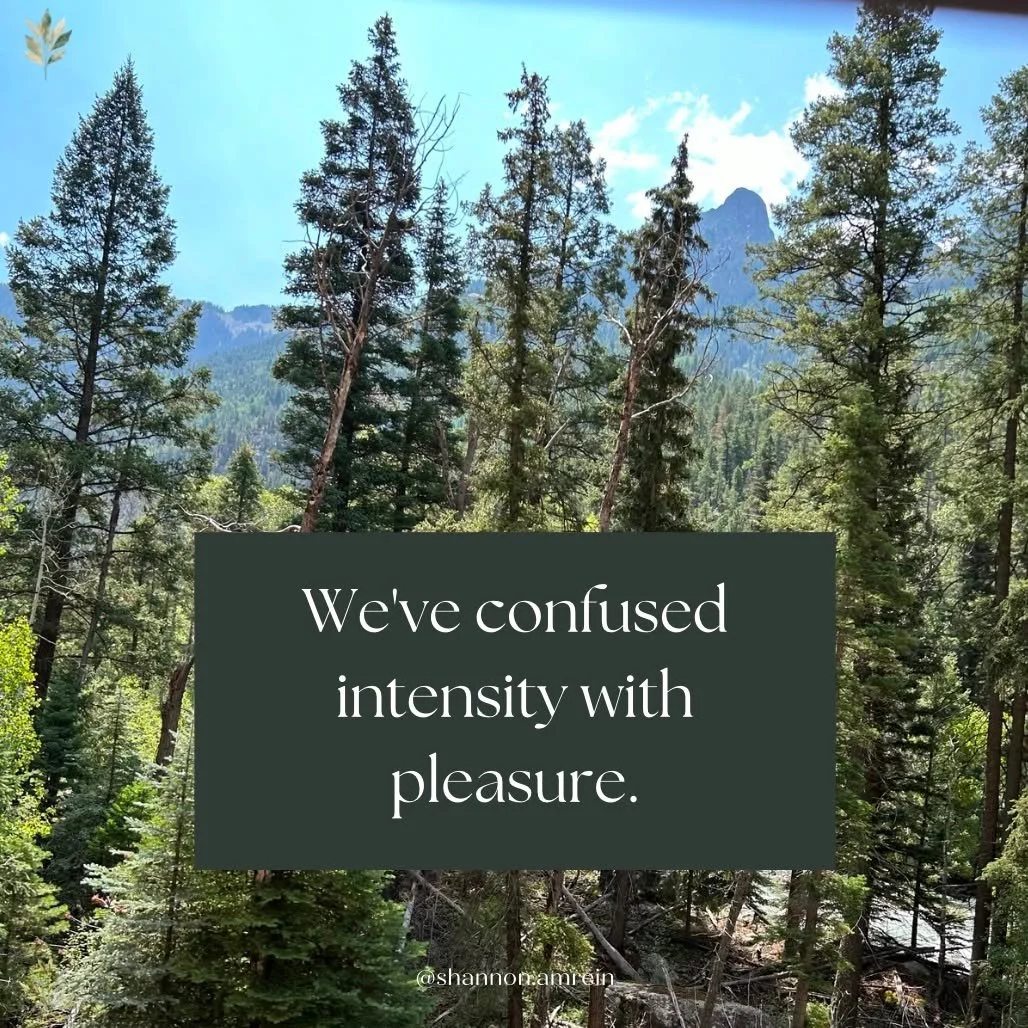 Somewhere along the way, sxl empowerment seems to have become equated with more intensity, more stimulation, more performance. 
And more ways to outsource our pleasure.

To be clear, this post is not about telling women what their sx lives should loo