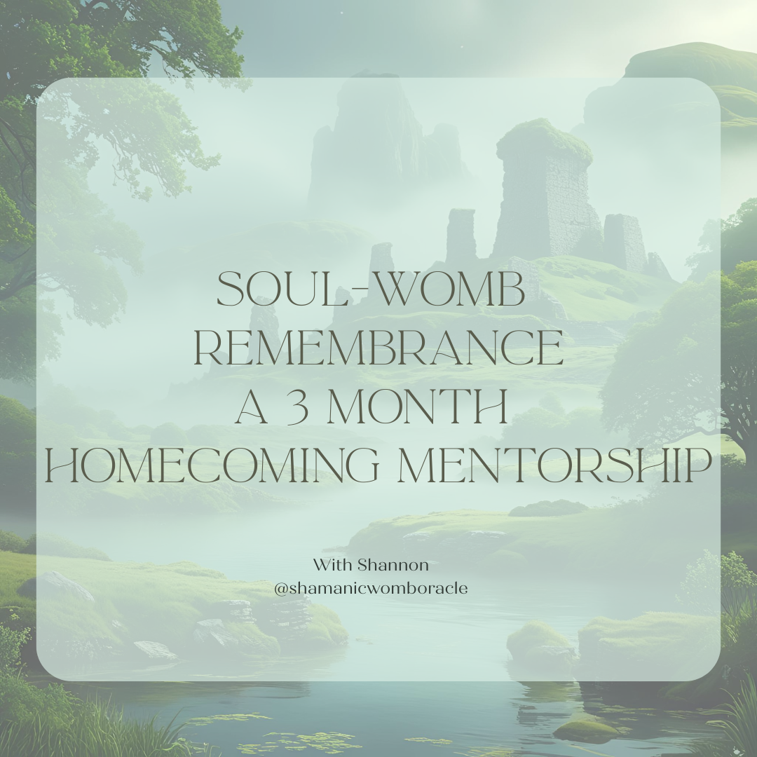 Soul womb remembrance a 3 month homecoming mentorship.png
