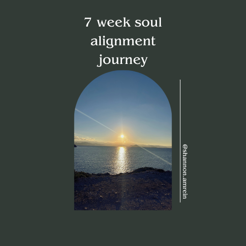 website products-13.png