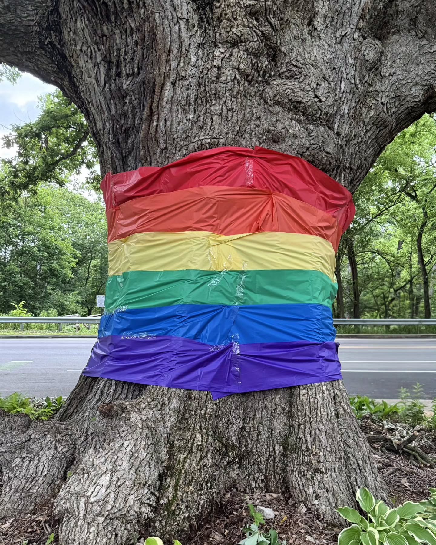 Happy Pride, Indy! 🌈
