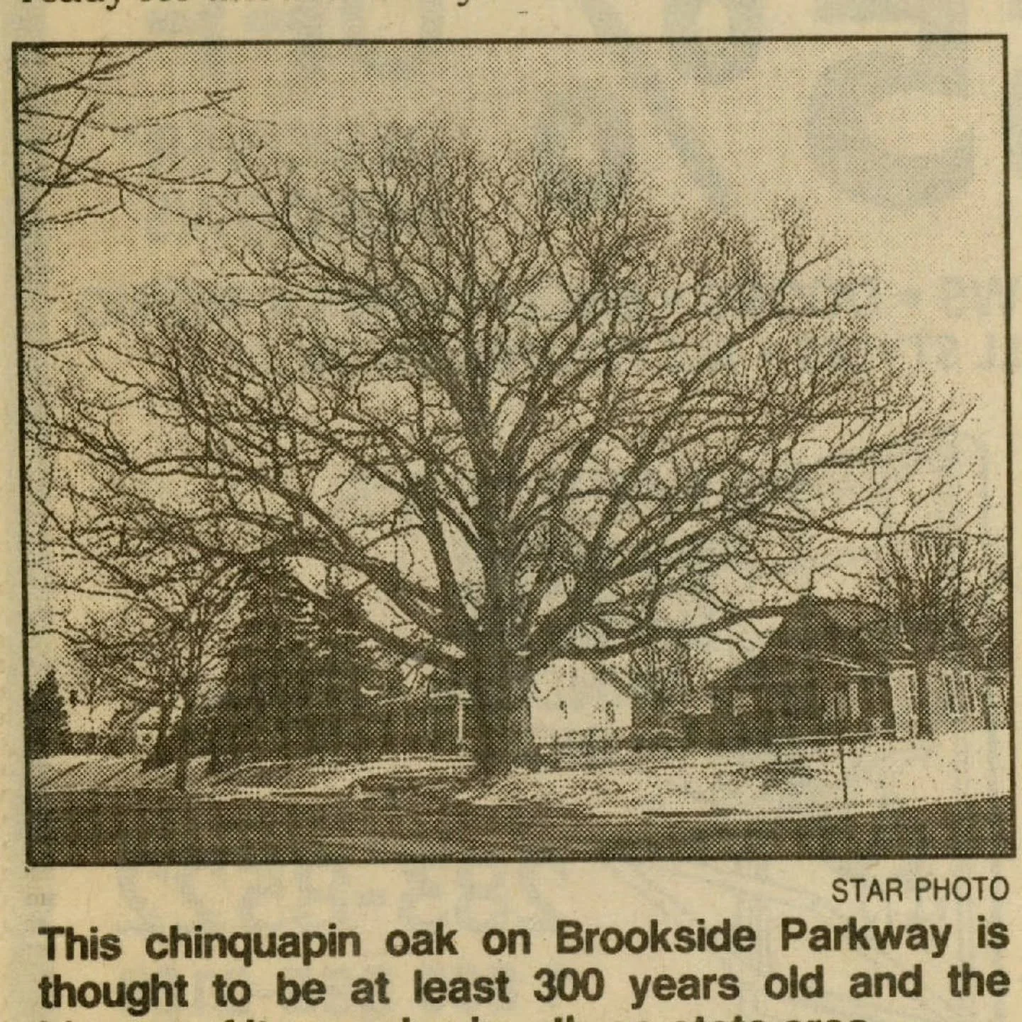 Indianapolis Star 
February 23, 1992