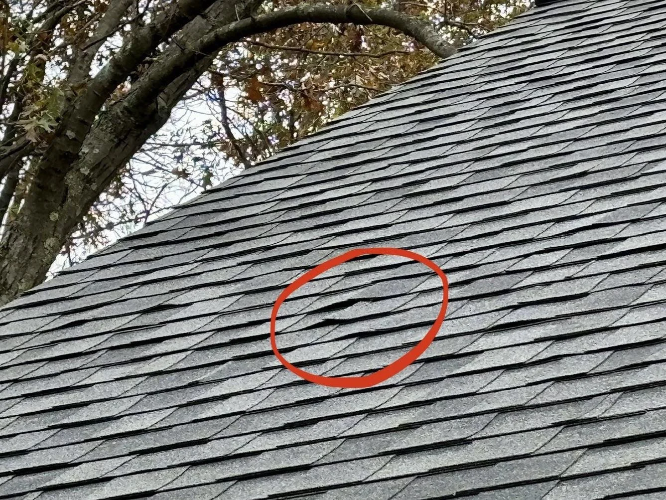 5 Warning Signs Your Roof Needs Attention (Copy)