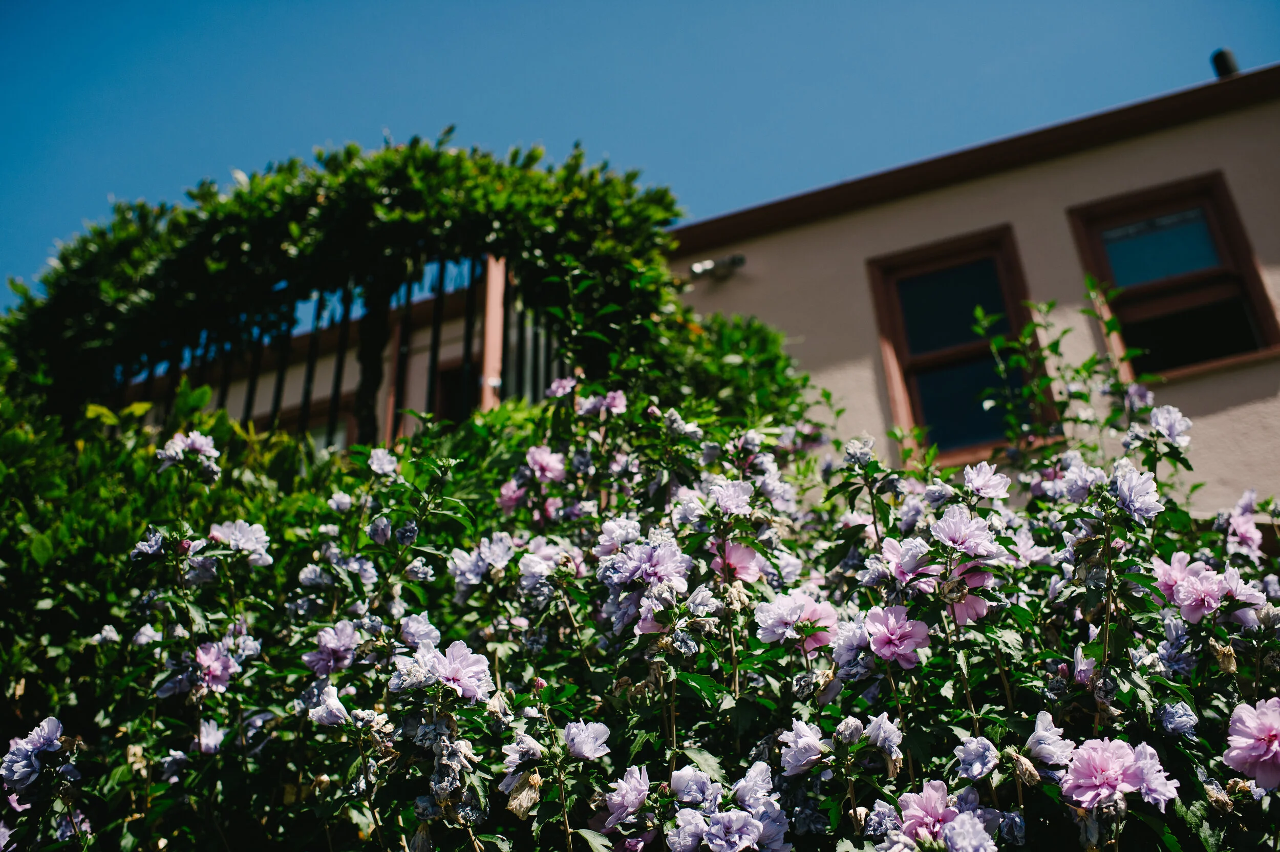 003-Lindsay-Mikha-Wedding-20150808.jpg