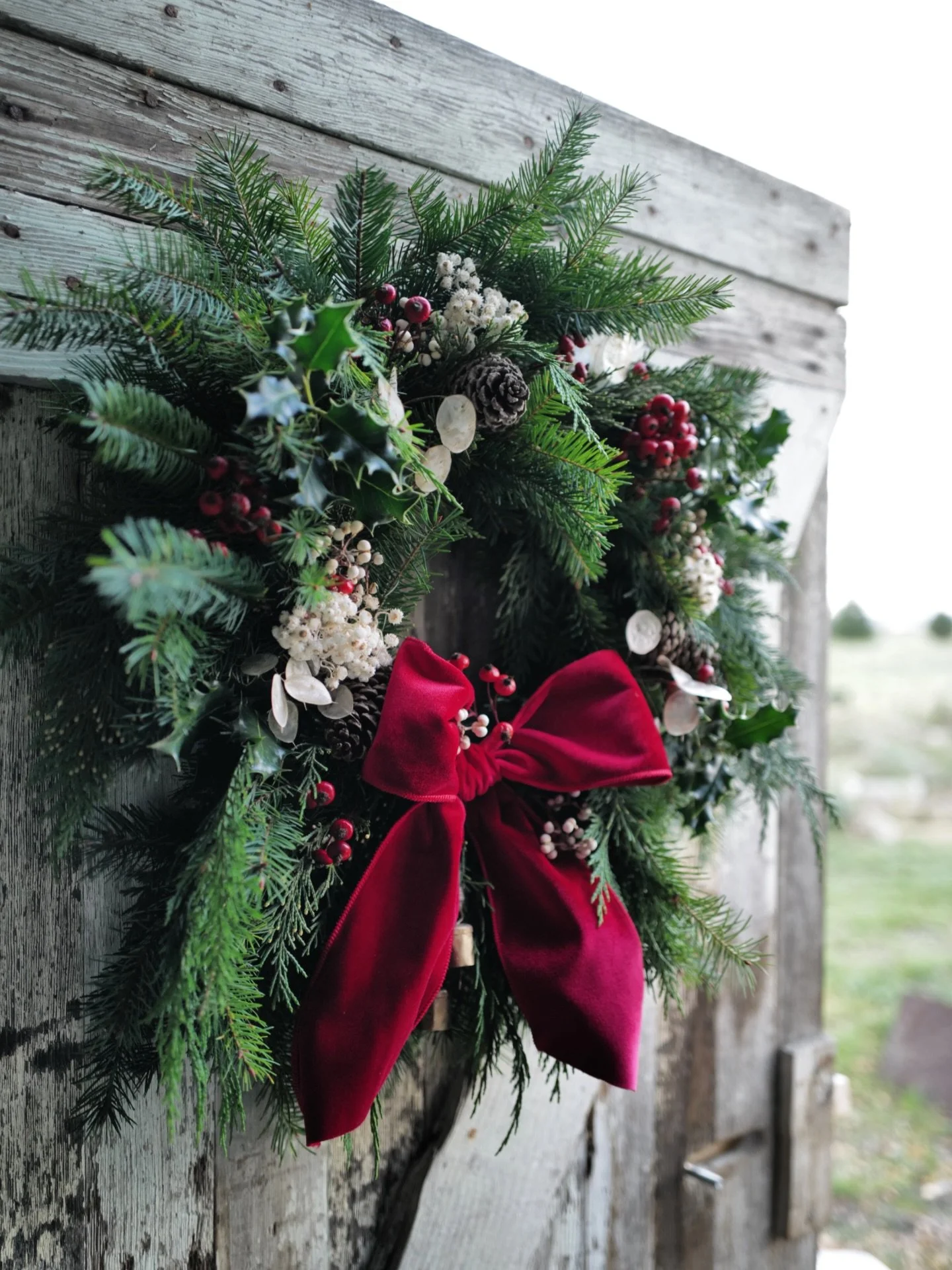 Alright wreath lovers! Mailed wreaths hit the post office tomorrow and the final day for local delivery (determined by zip code during ordering), is Dec 4 so if you&rsquo;d like a holiday wreath, I&rsquo;d be delighted to make you one. 

Last day to 