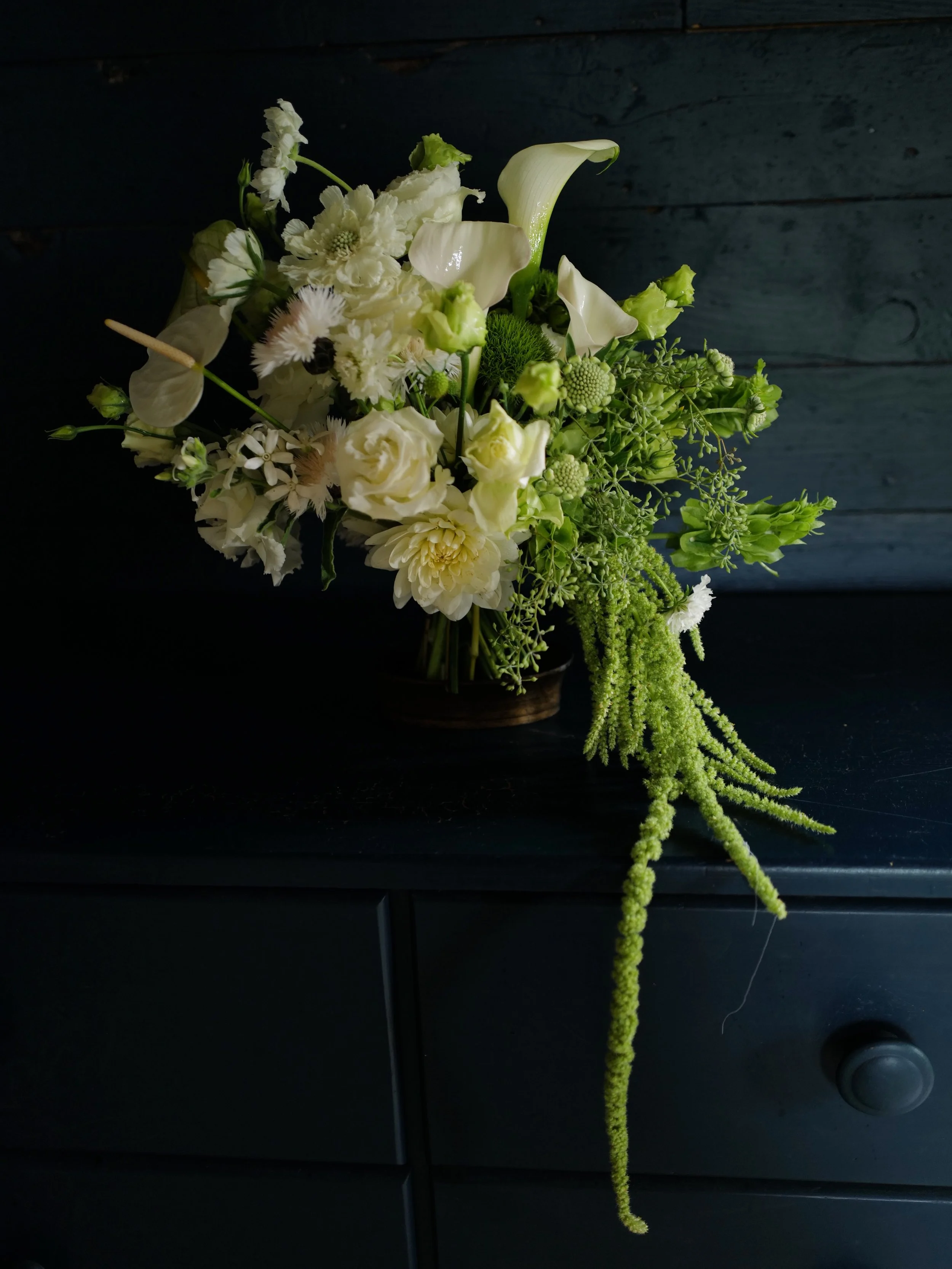 There are some big changes coming to this little flower business. Stay tuned this week!