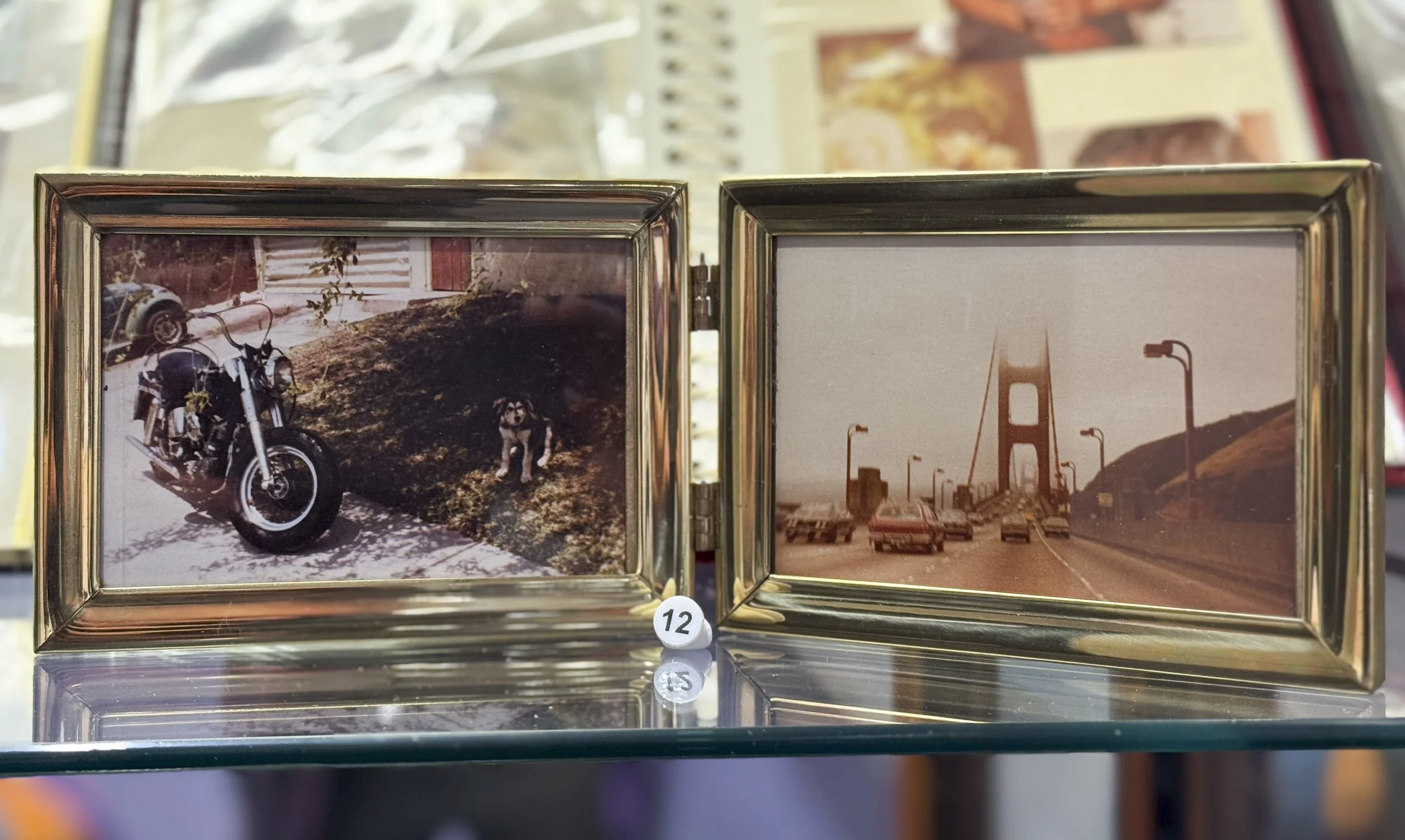 12. One of Carol's bikes; the view on a ride over the Golden Gate Bridge, San Francisco, CA