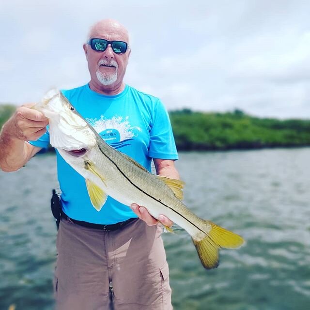 Ron with many of his snook along with reds and trout the bite is fantastic right now got days available.#yamahaoutboard#crystalriverfishingadventures#pennreels#naturecoastfishing#fenwickfishingrods#shallowsportboats#backcountryfishing#simmsfishing