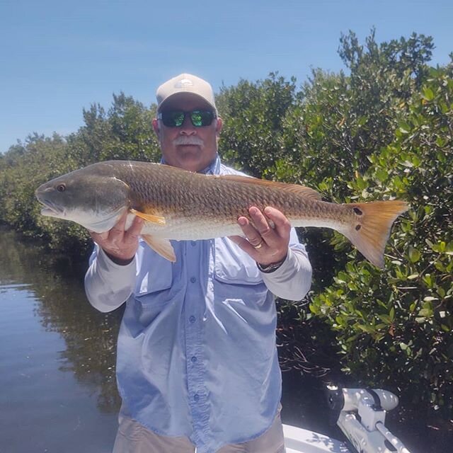 Danny with a few of many of the reds we got today,how about 40 spots.#drumspots#redfish#fenwickrods#pennreels#shallowsportboats#backcountryfishing#powerpolesports#fishing🎣#fishingthenaturecoast#crystalriverflorida#crystalriverfishingadventures