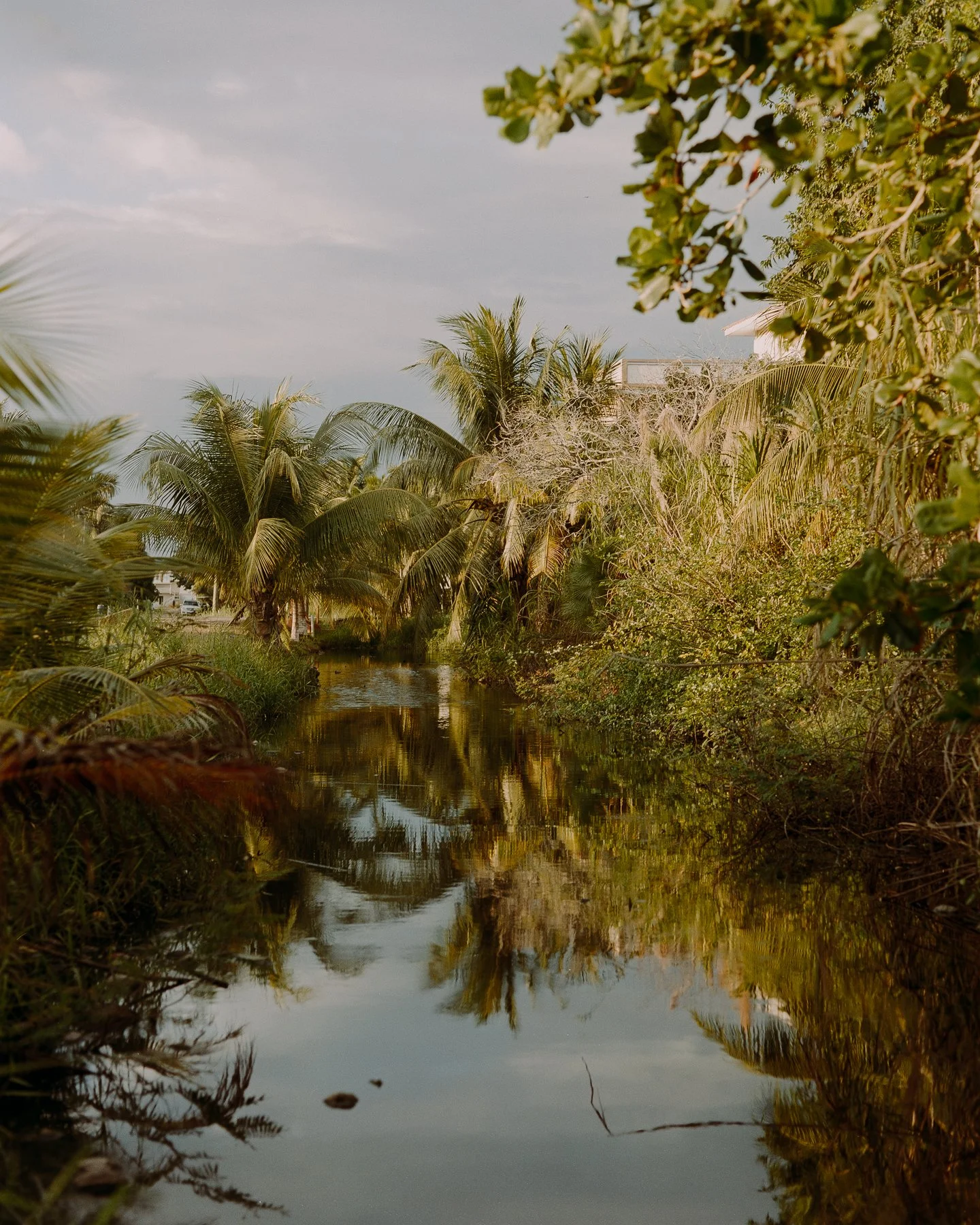 250220_BELIZE_46 -- © Kam Vachon-positive.jpg