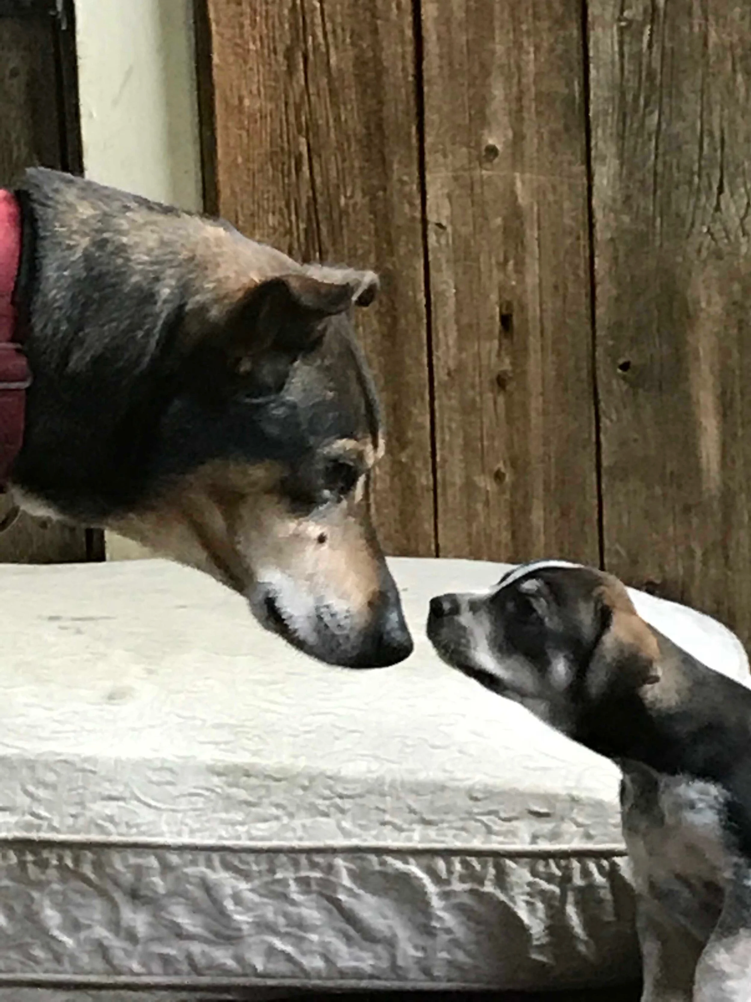 Nerd sharing his wisdom