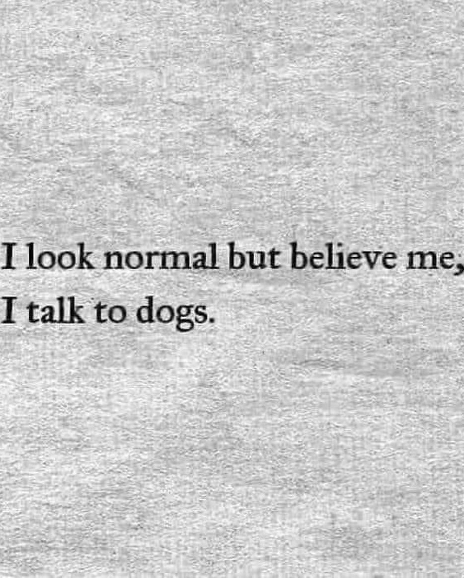 Only six sleeps (that's how I visualize the passing of days to animals) until the next Intro to Animal Communication workshop!
If you are wondering if what you hear and feel from your animals is real or made up, I would love to have you join me this 