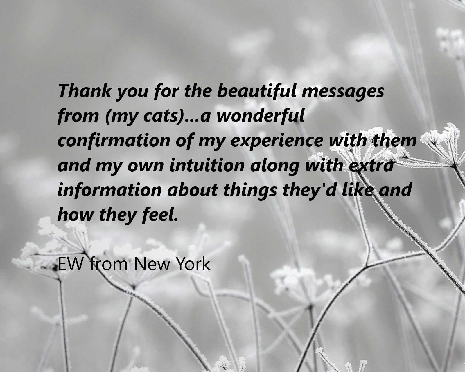 AC+testimonial.jpg