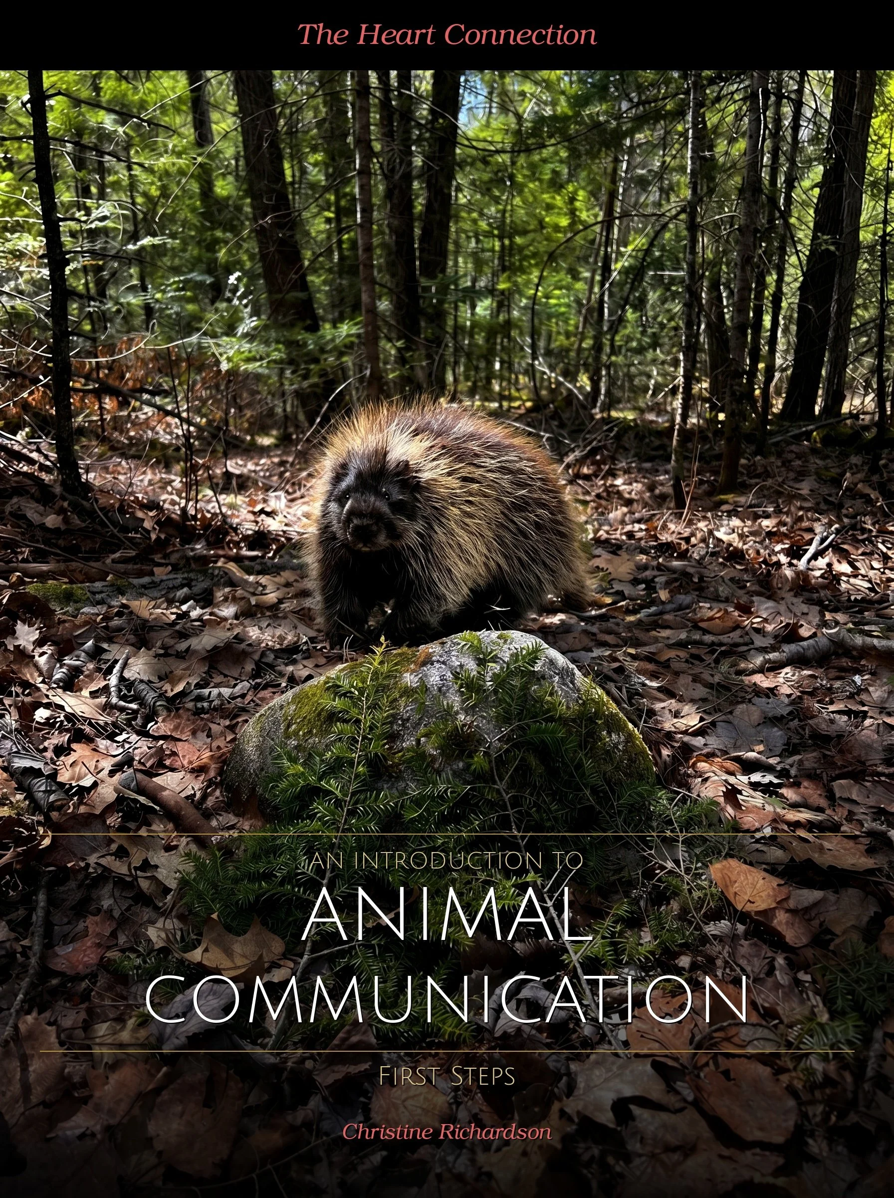cover_free guide.jpg (Copy)