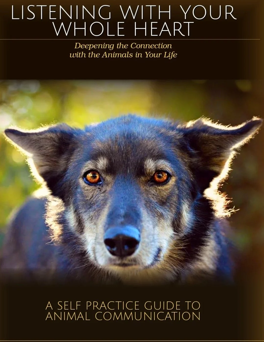 full_guide_final cover.jpg