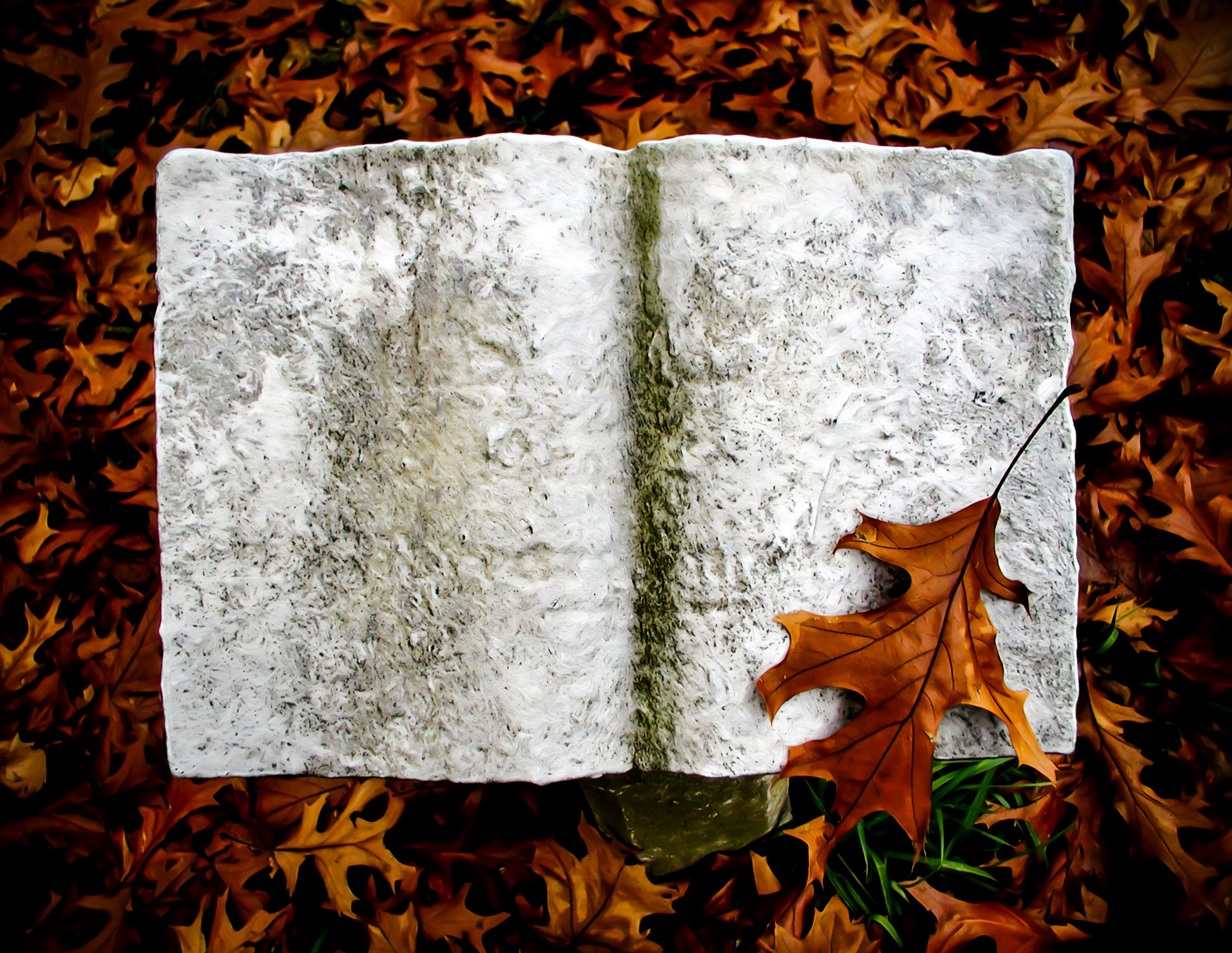 Fading Book and Leaf