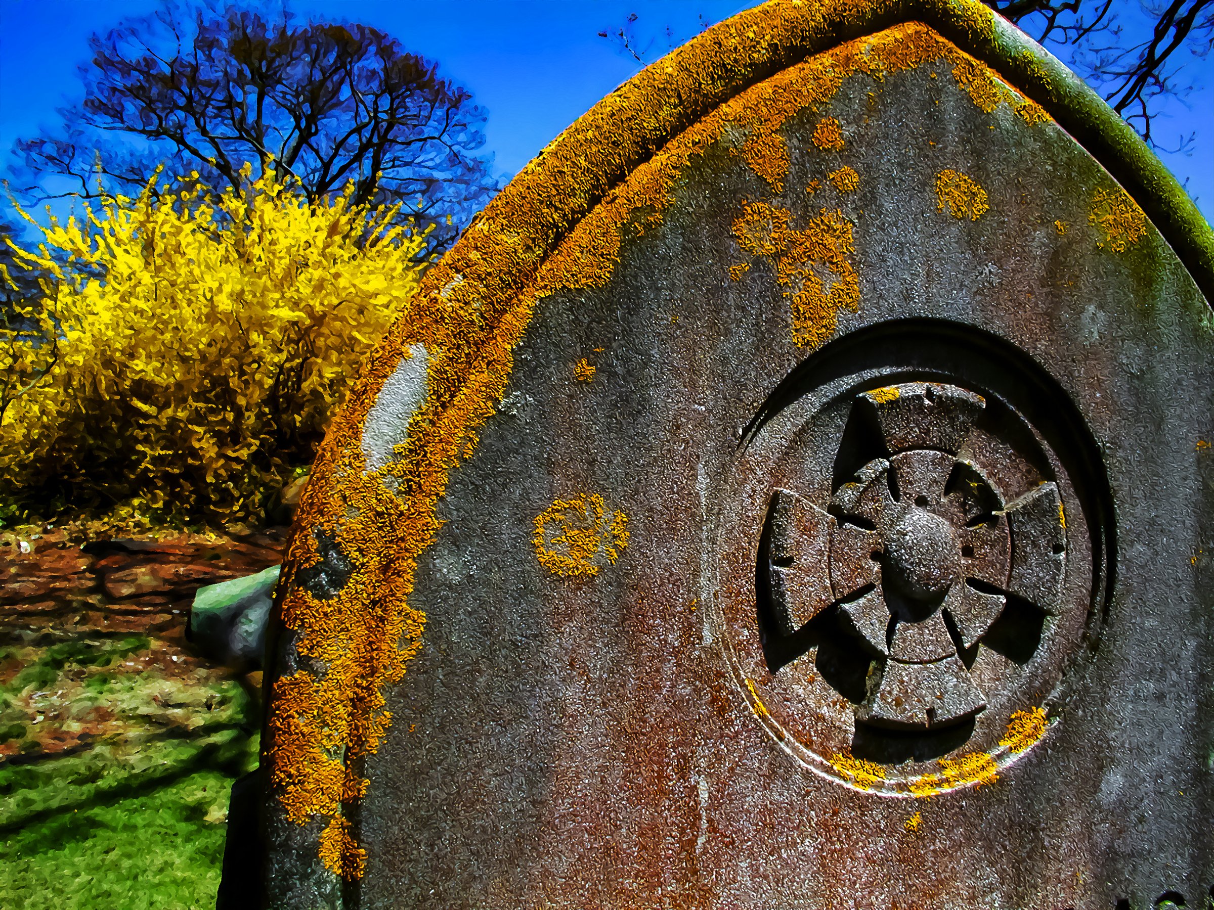 Cemetery Color