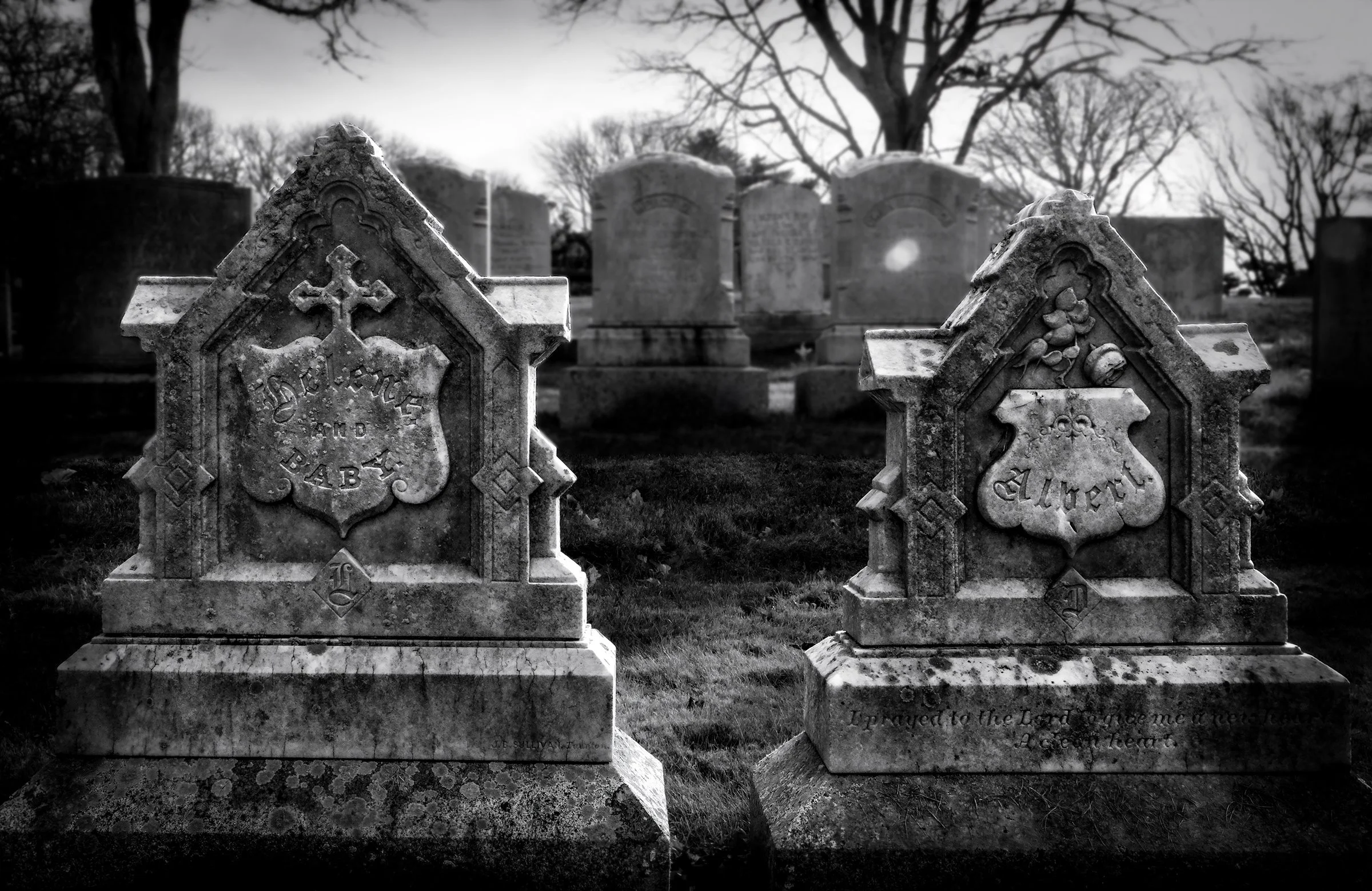 Family and the Flare