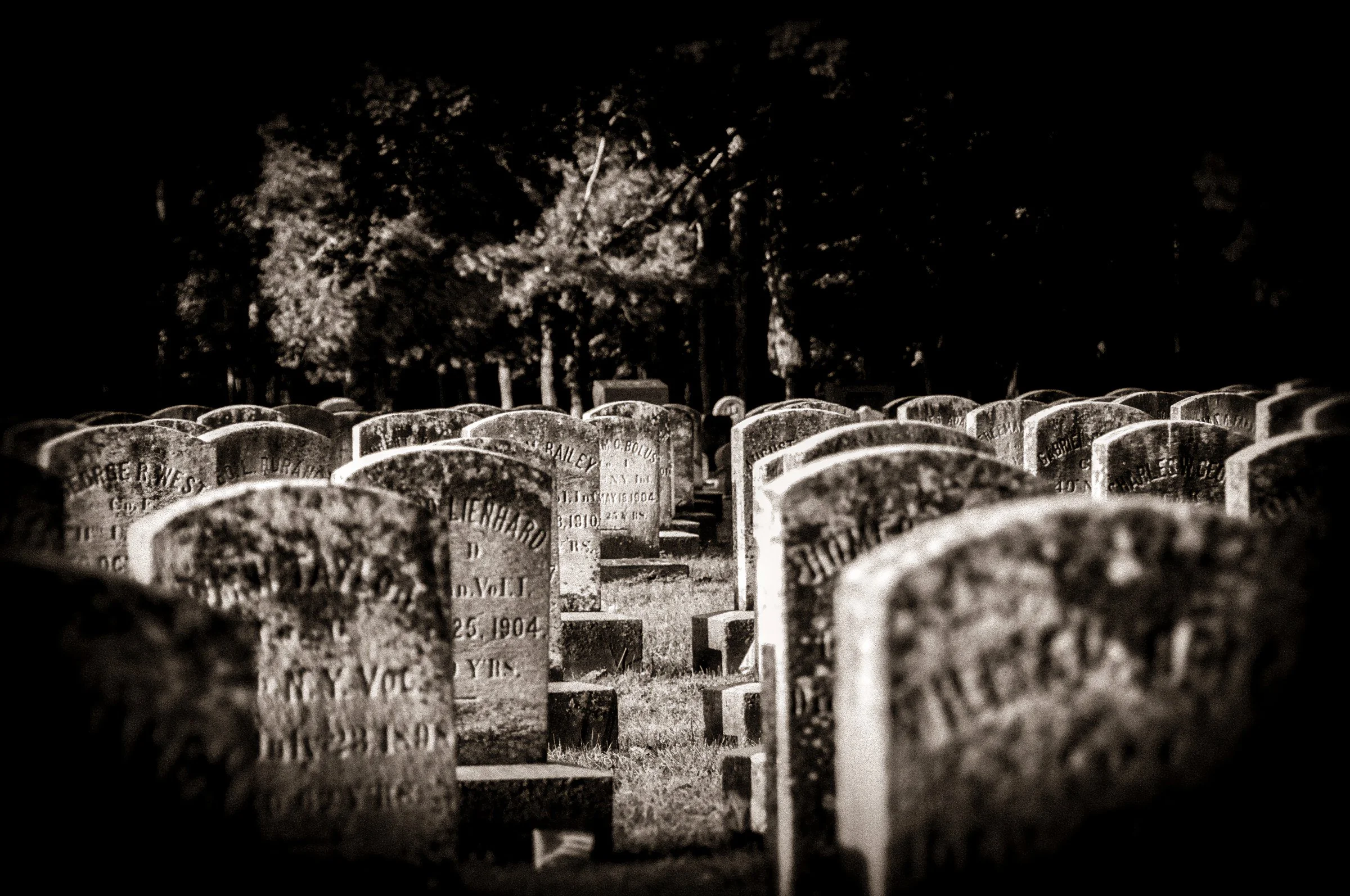 A March in the Ranks