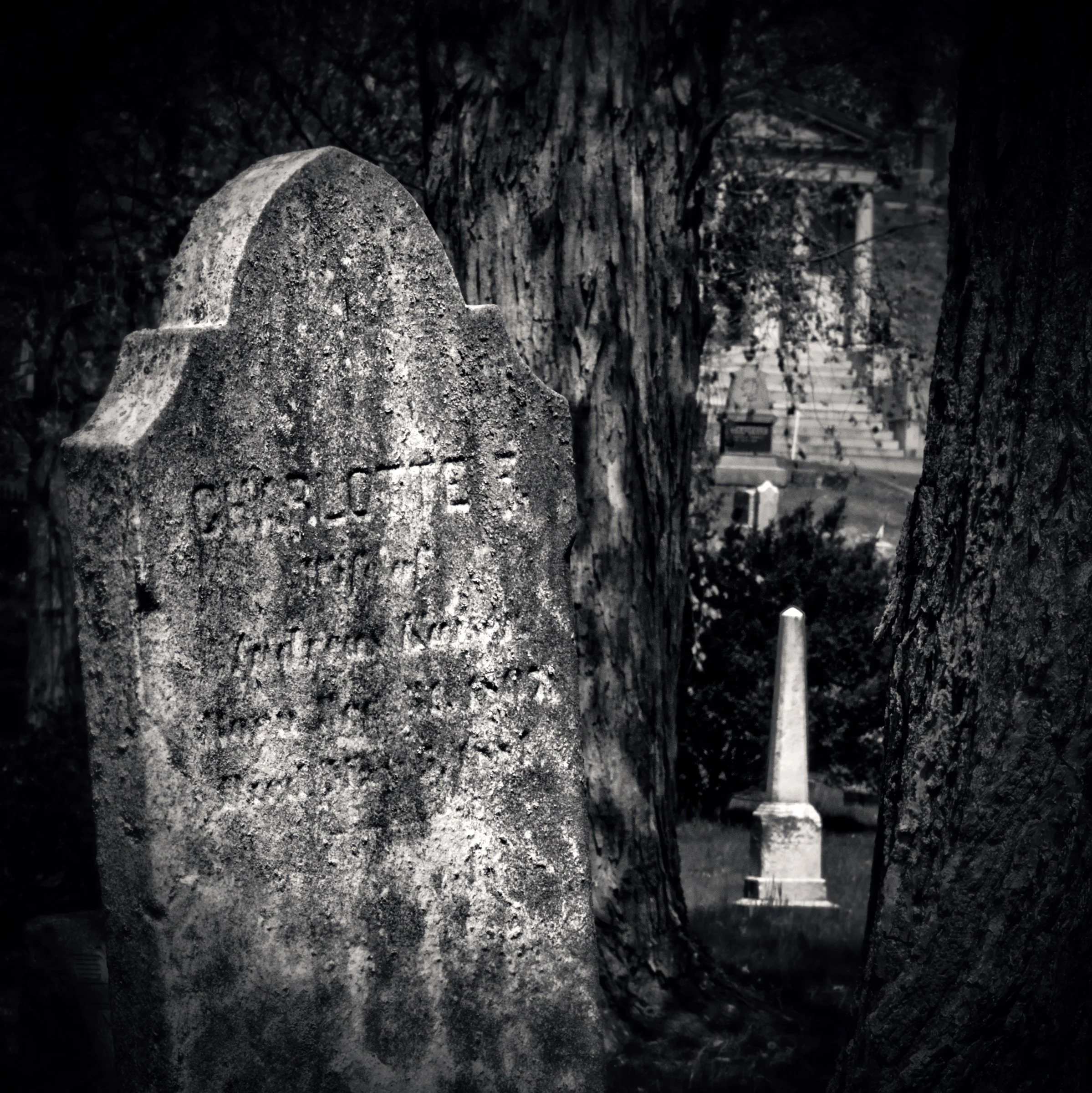 Charlotte’s Neighborhood