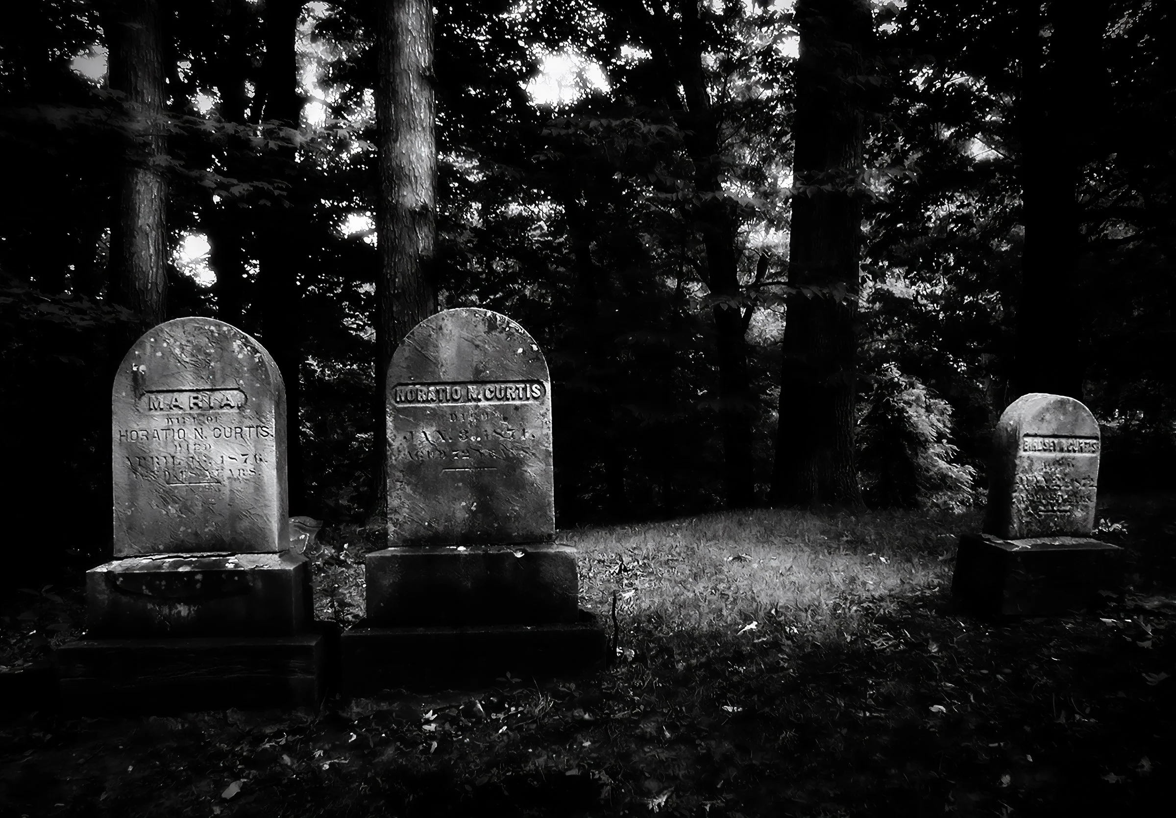 Birdsey's Generation Gap