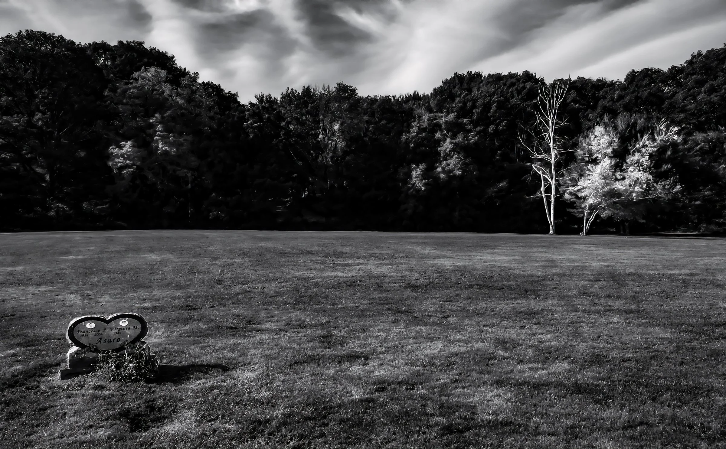 Our Big Backyard