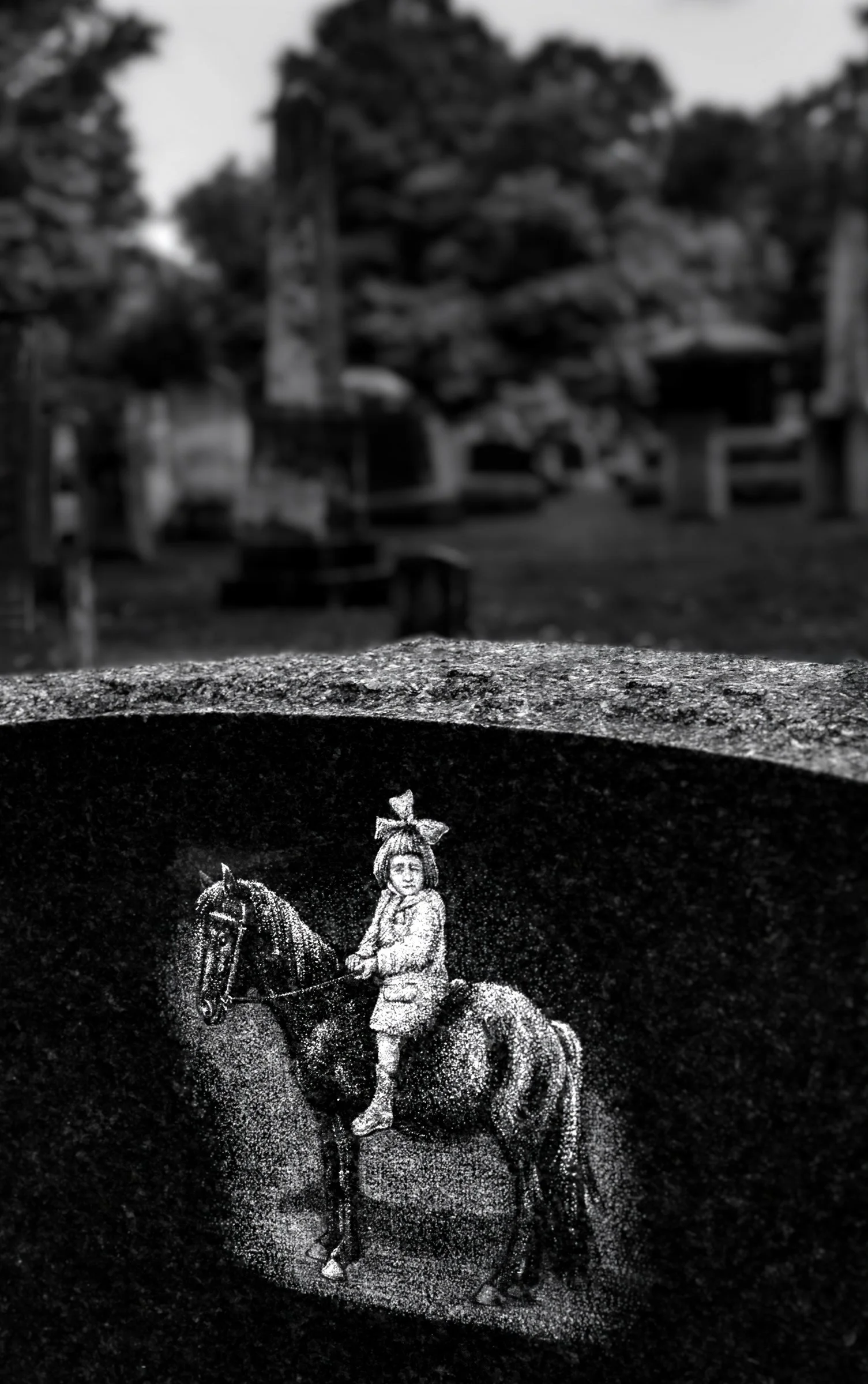 Little Girl On Pony