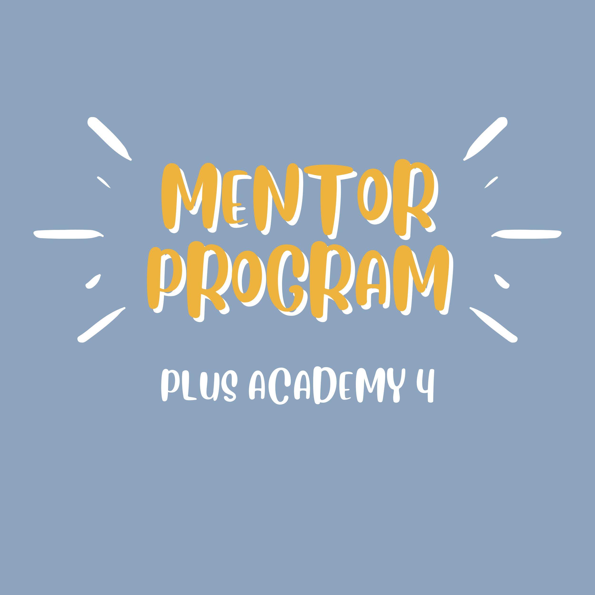 Mentor Program