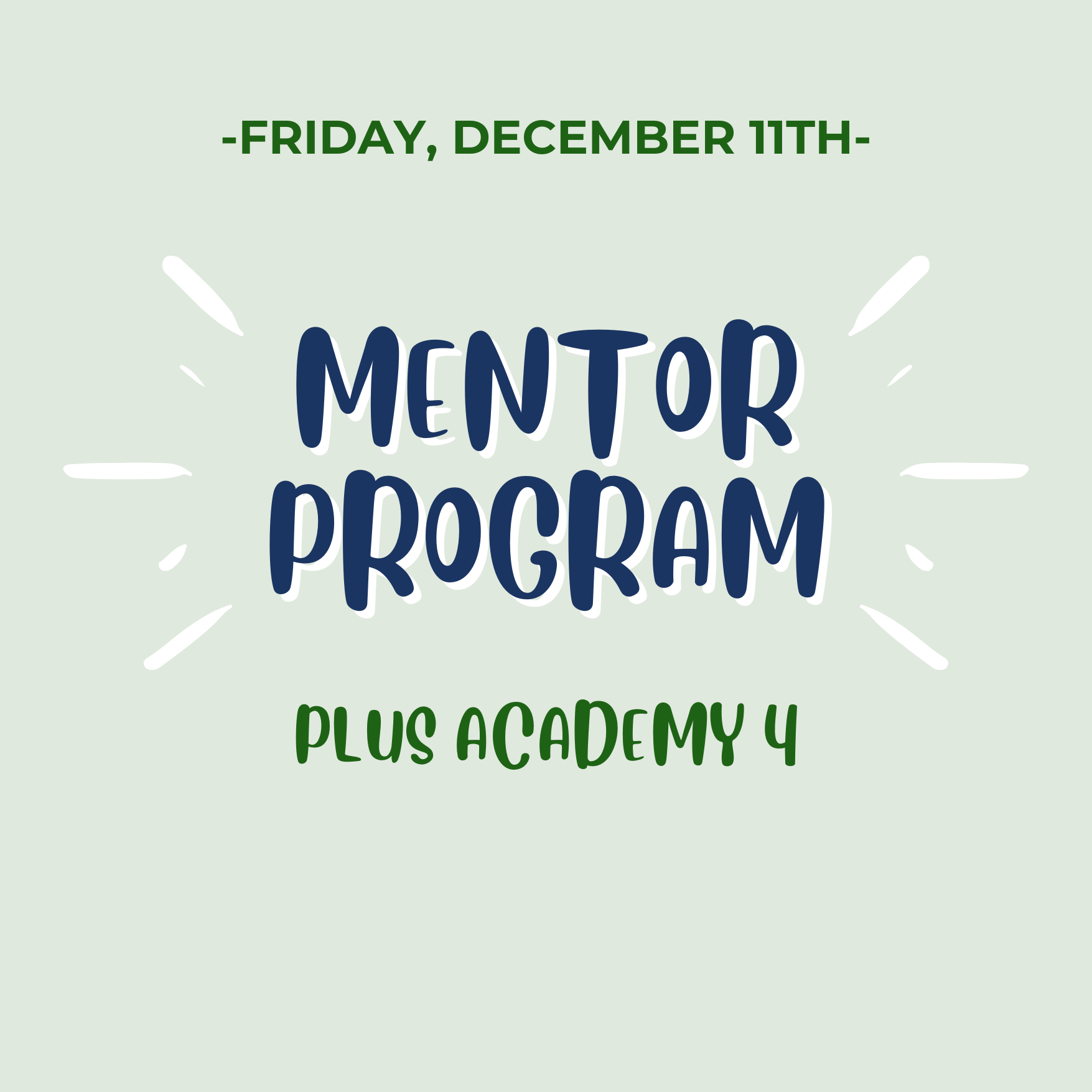 Mentoring Program & Academy 4