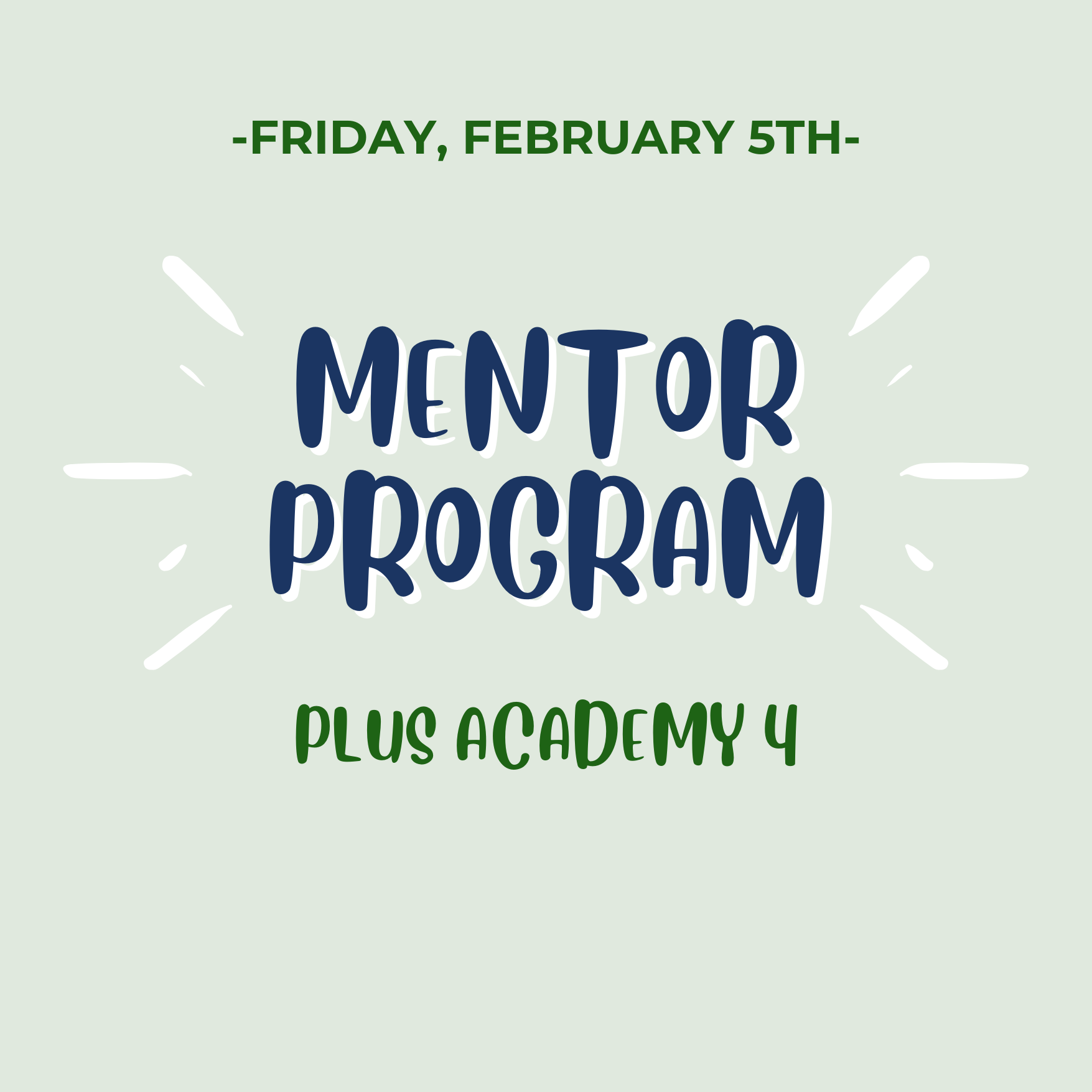 Mentoring Program & Academy 4