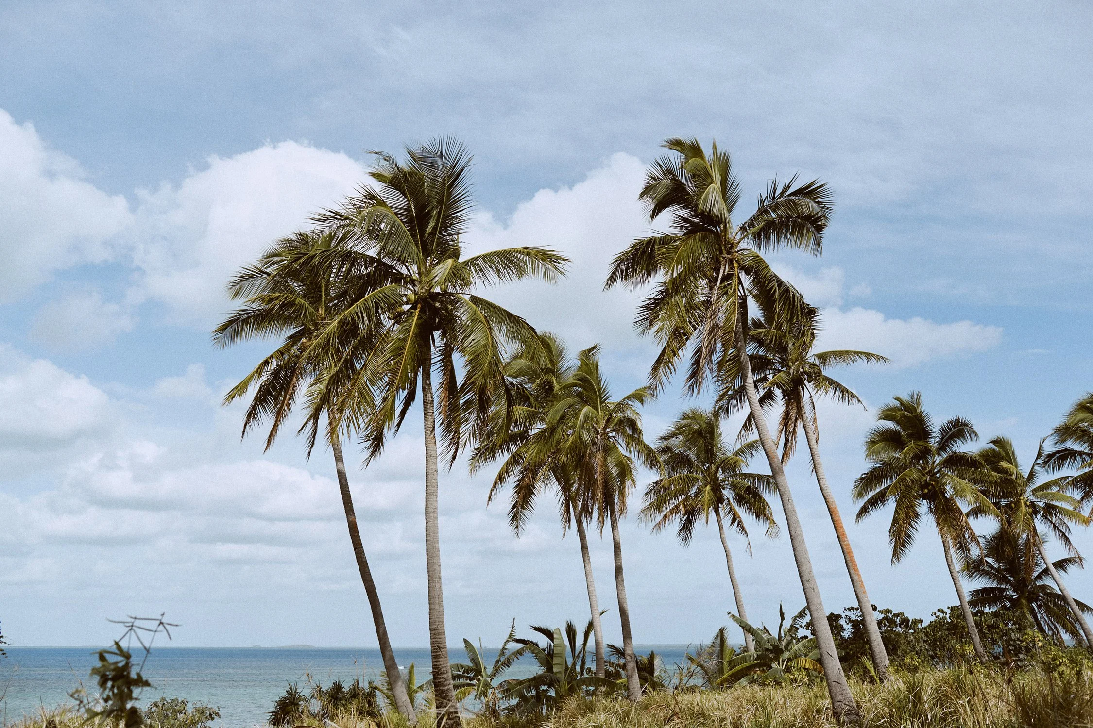 Pacific