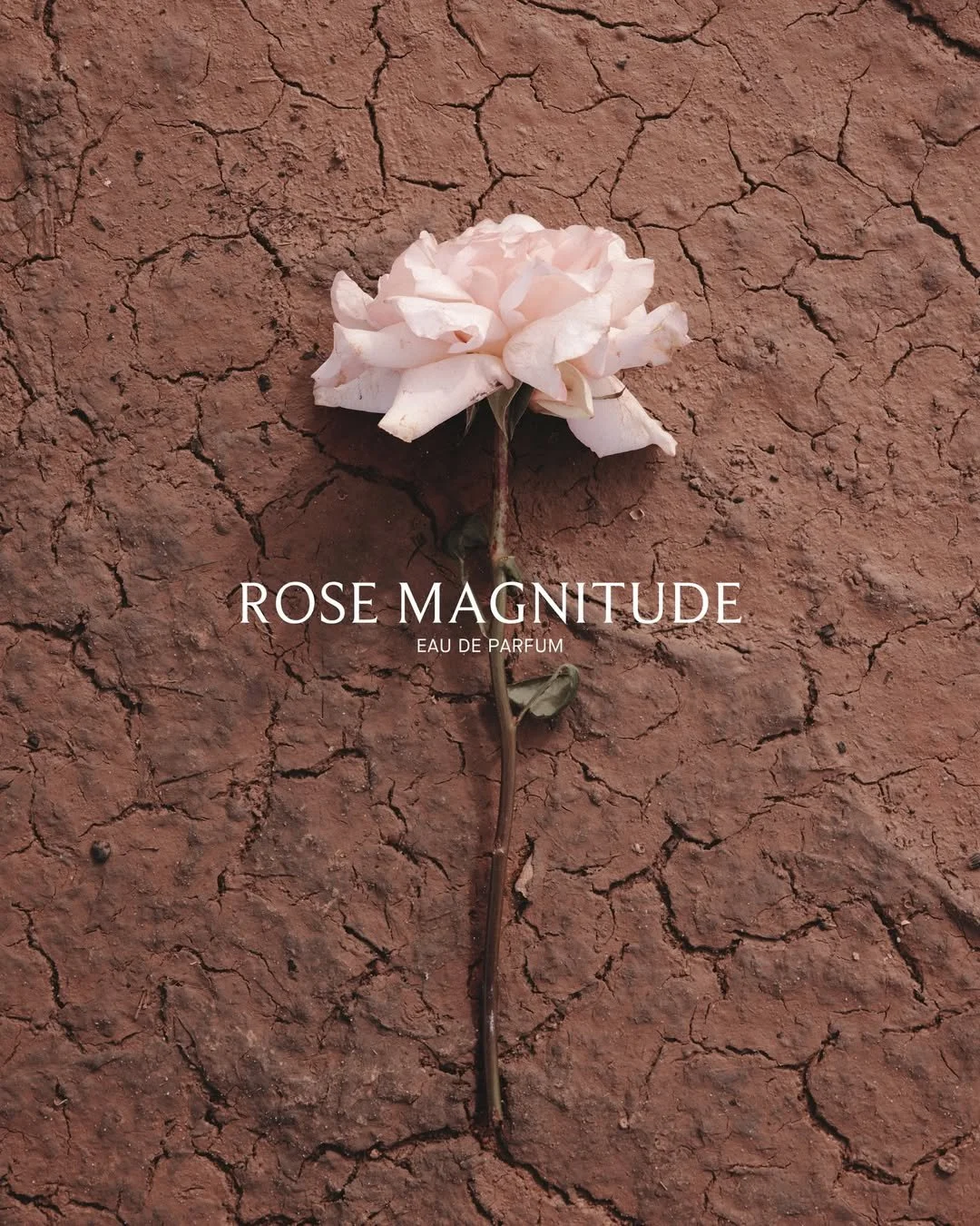 THIS FRIDAY. A Journey Through Salt Lakes and Pastel Skies. Be the first to experience Rose Magn.jpg