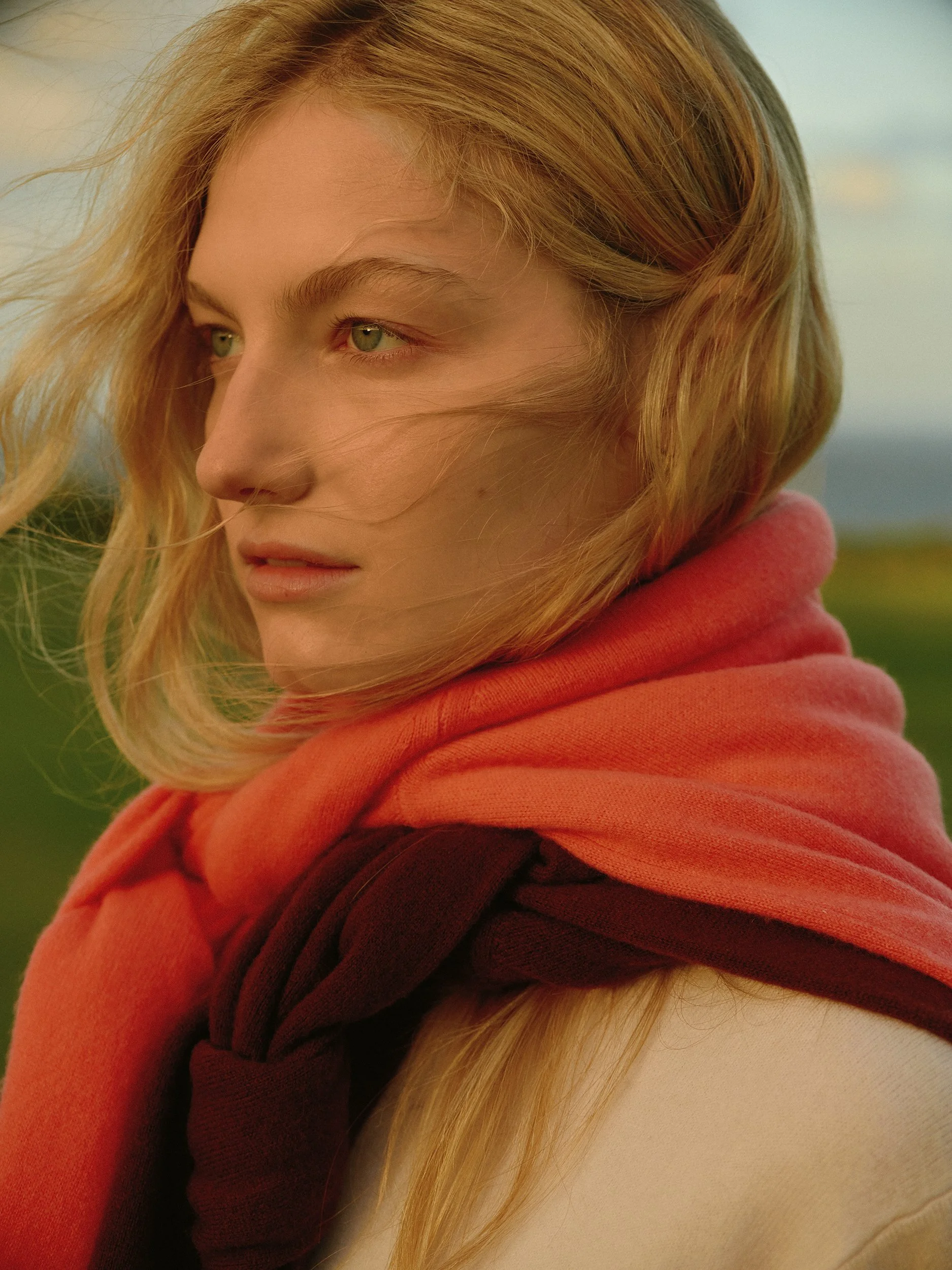 Harper's BAZAAR x Uniqlo