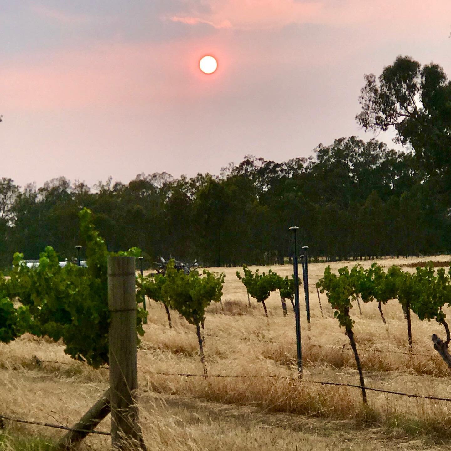 Still can&rsquo;t quite capture the size/colour of that sun the last few mornings 😬☀️🔥 #goseymour #discovermitchell #mymitchell