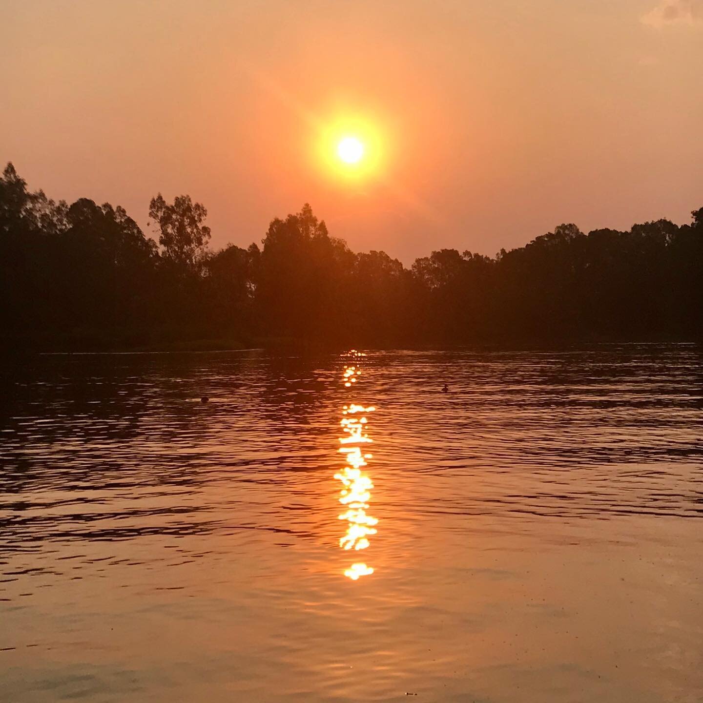 What&rsquo;s your definition of a perfect evening? #goseymour #perfection #mymitchell #discovermitchell #sunset #goulburnriver