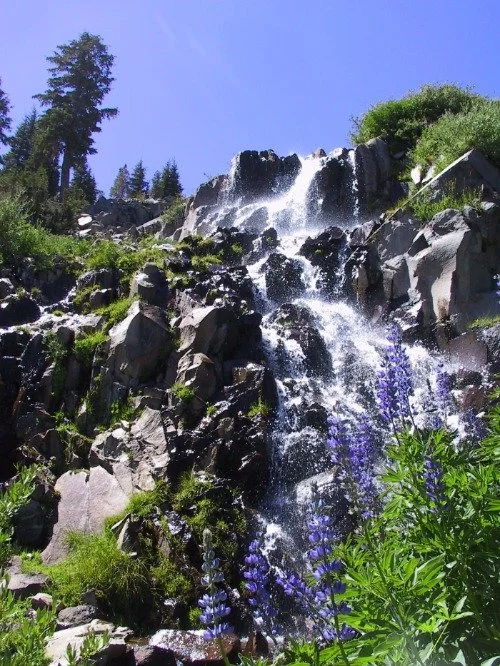 Galena Falls Wildflower Hike
