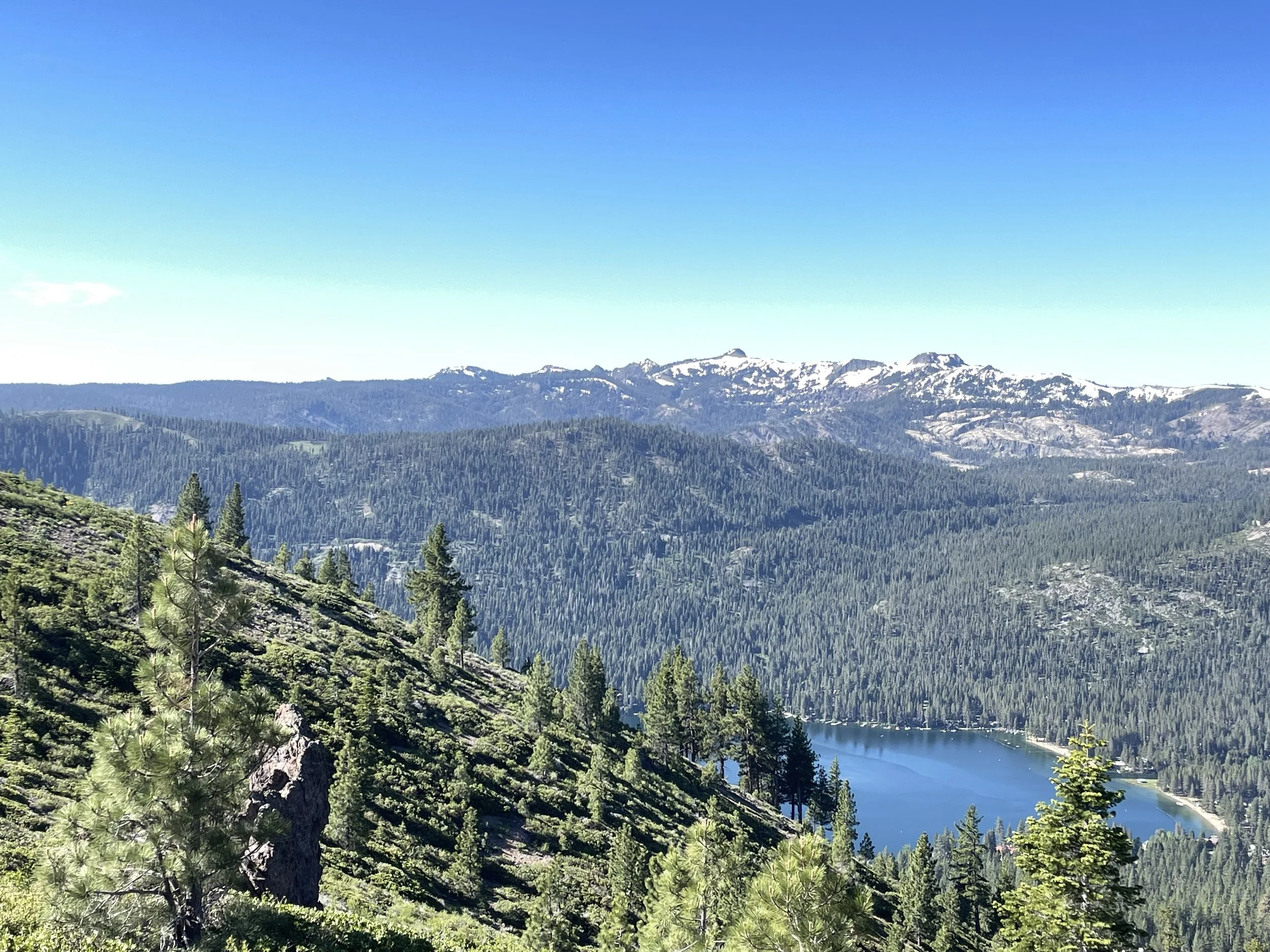 Glacier Way Bird Walk