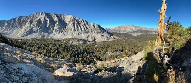 Nutcrackers and Nighttime Warming: Unexpected Treeline Dynamics in the High Sierra Nevada with Dr. Hugh Safford