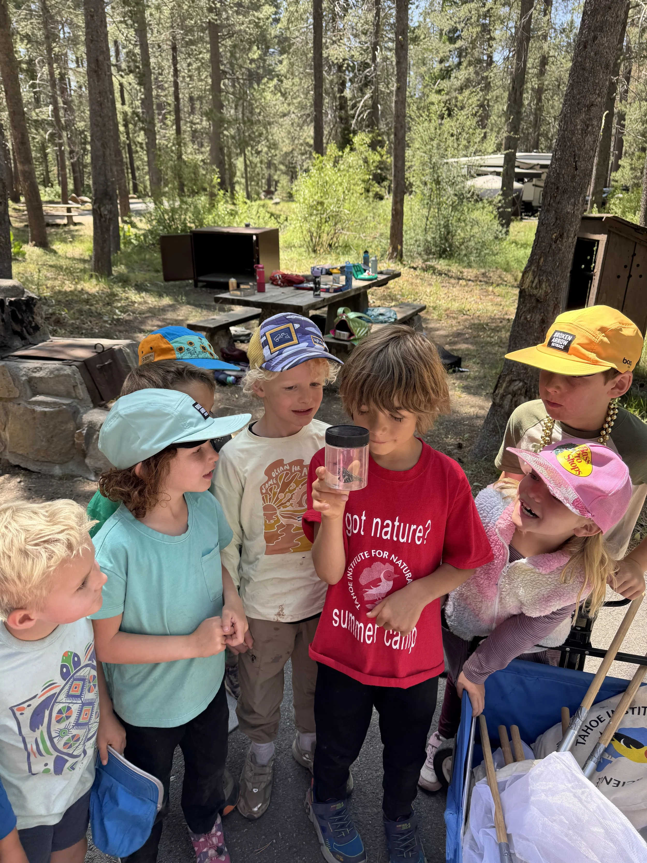 Truckee Bug Camp